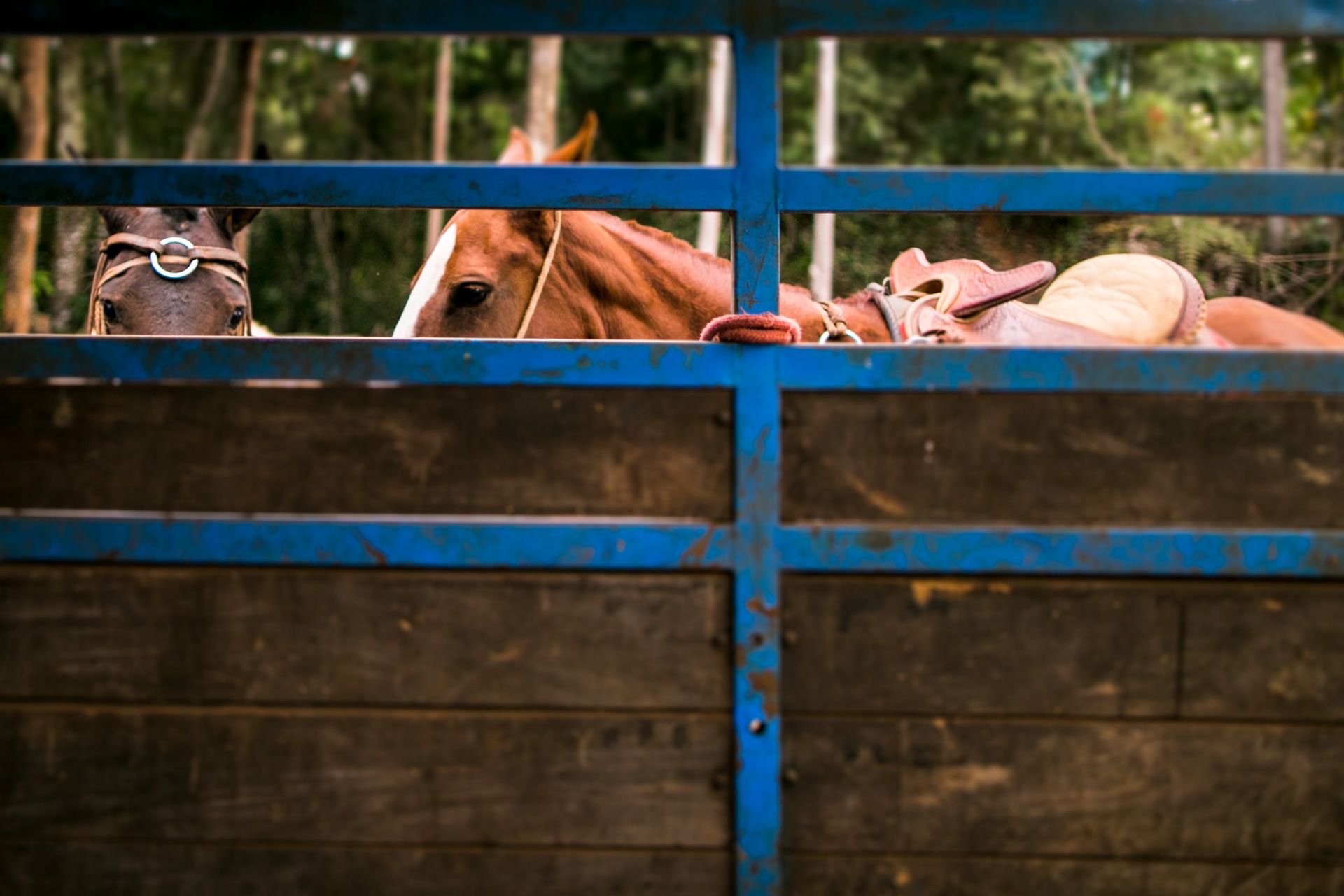Pré Casamento Tainara e Luis Fernando em Jacuí MG - 2 - 0