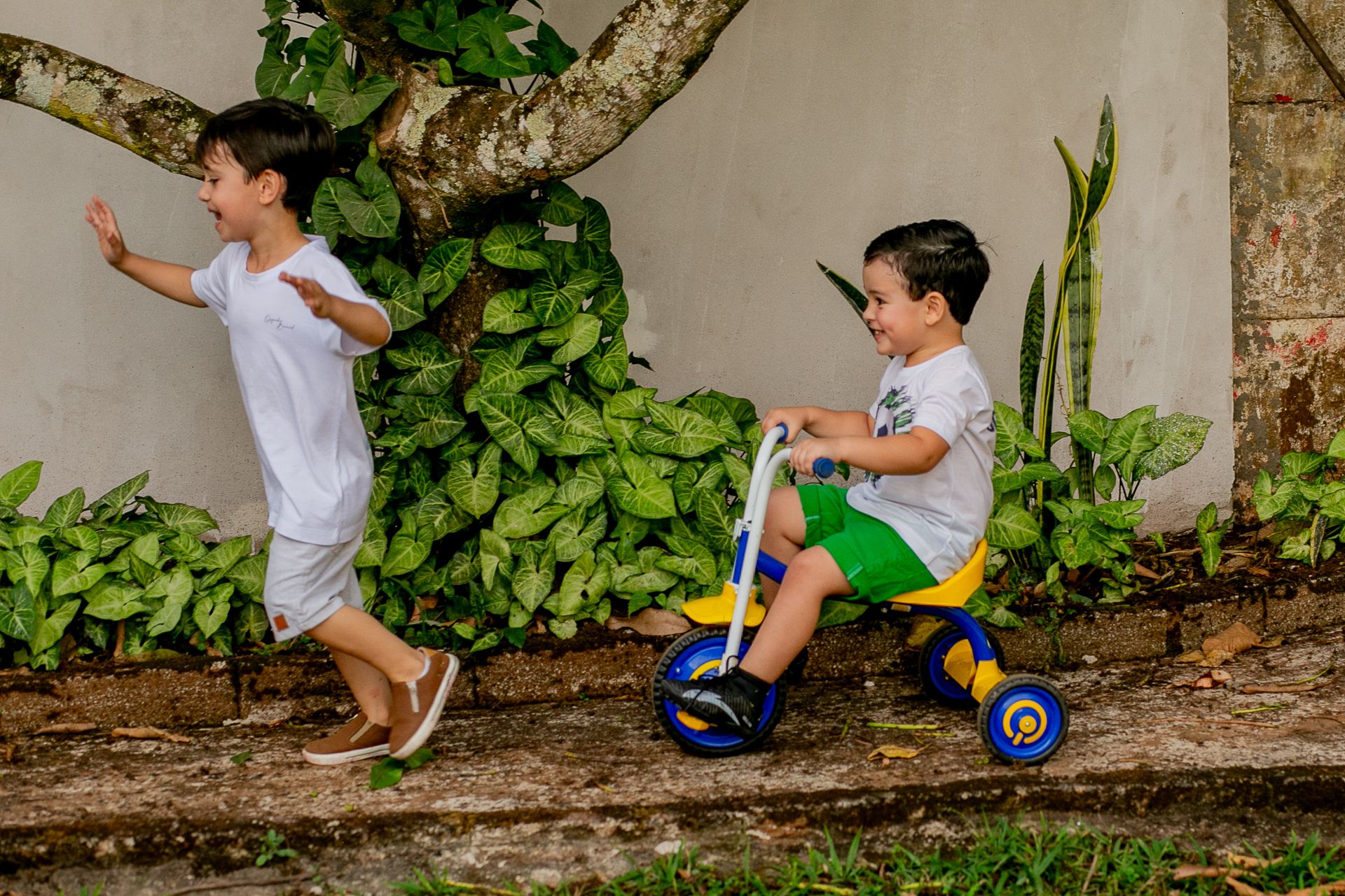 Aniversário de 3 anos do Joaquim em Itamogi MG - 2 - 6