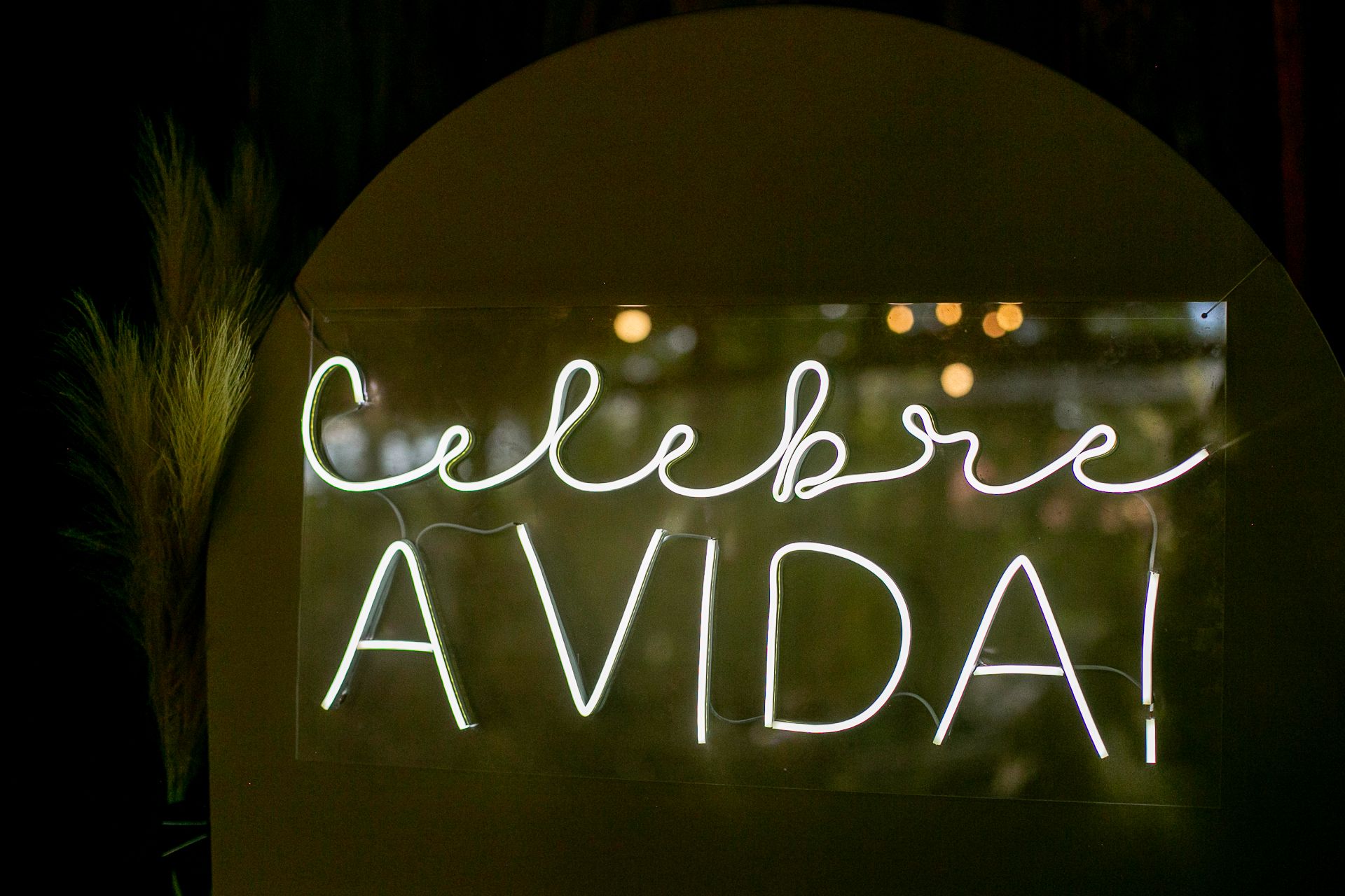 Aniversário de 60 anos da Cris em Cotia SP - 2 - 21