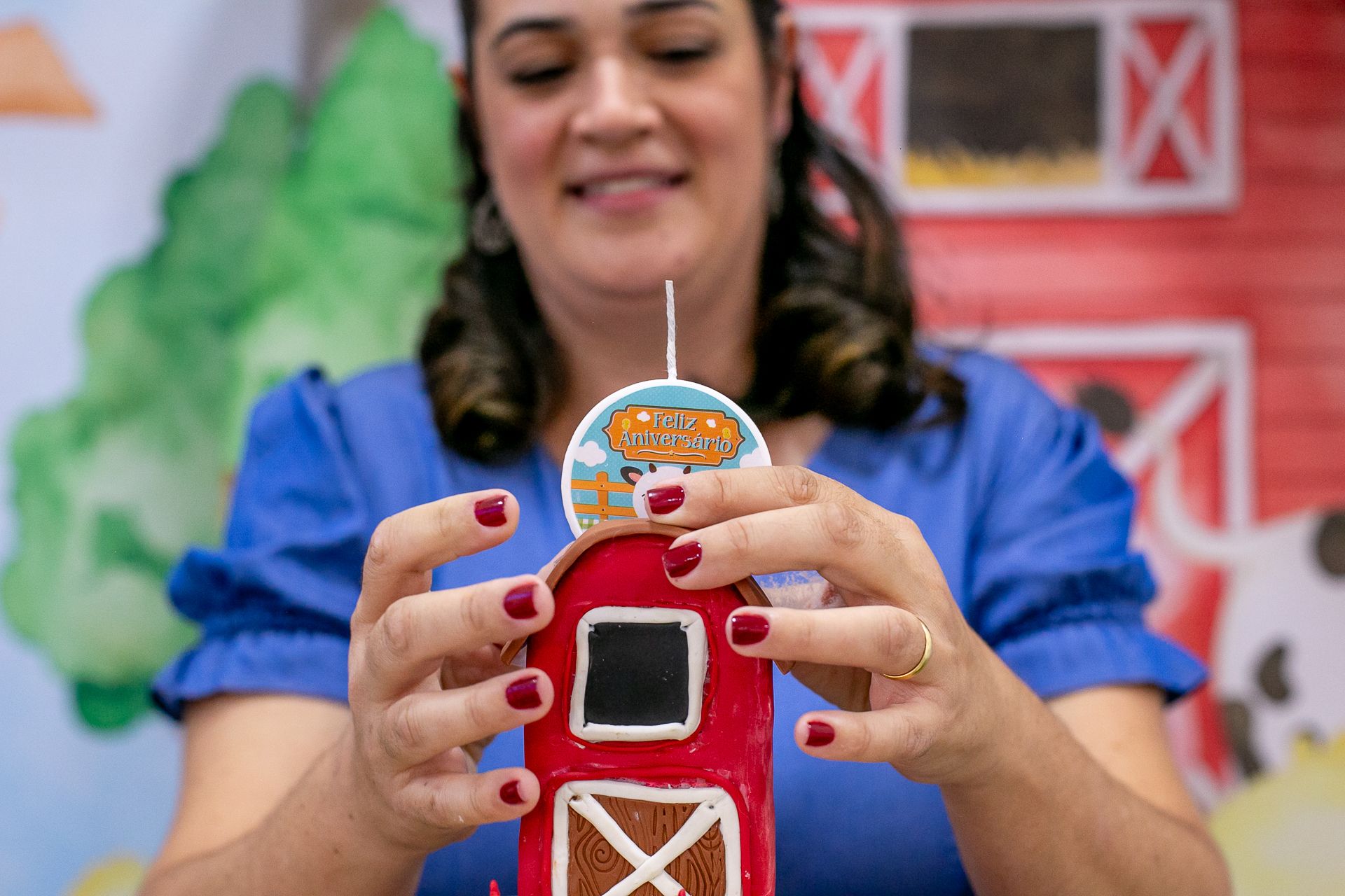 Aniversário do Francisco - 2 anos em Itamogi MG - 2 - 0