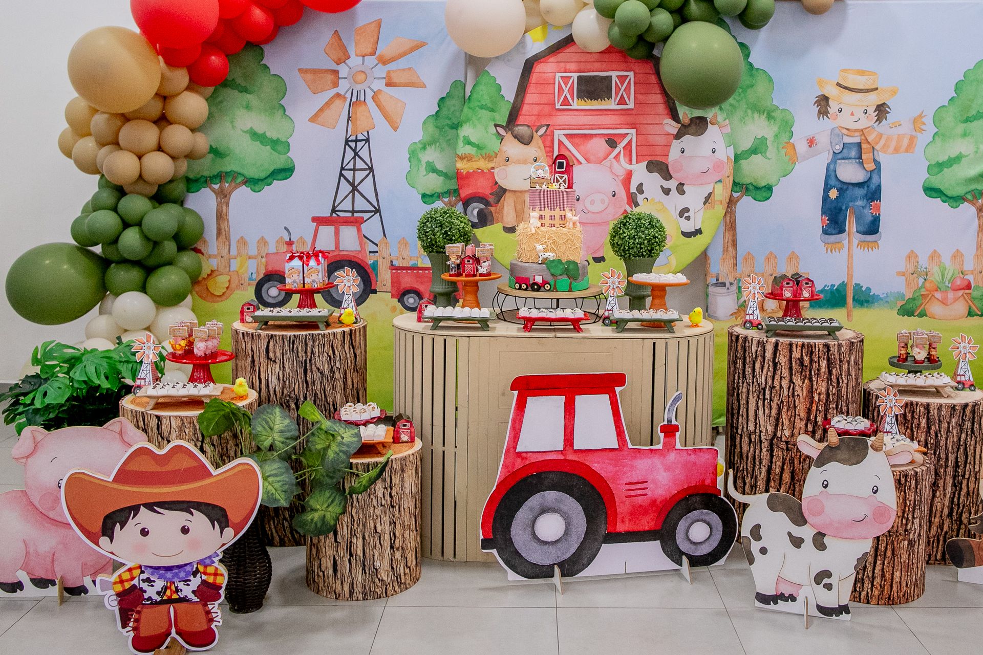 Aniversário do Francisco - 2 anos em Itamogi MG - 2 - 1