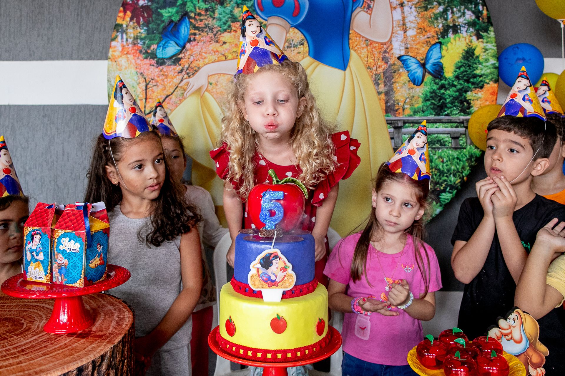 Aniversário da Luísa - 5 anos em Itamogi MG - 2 - 28