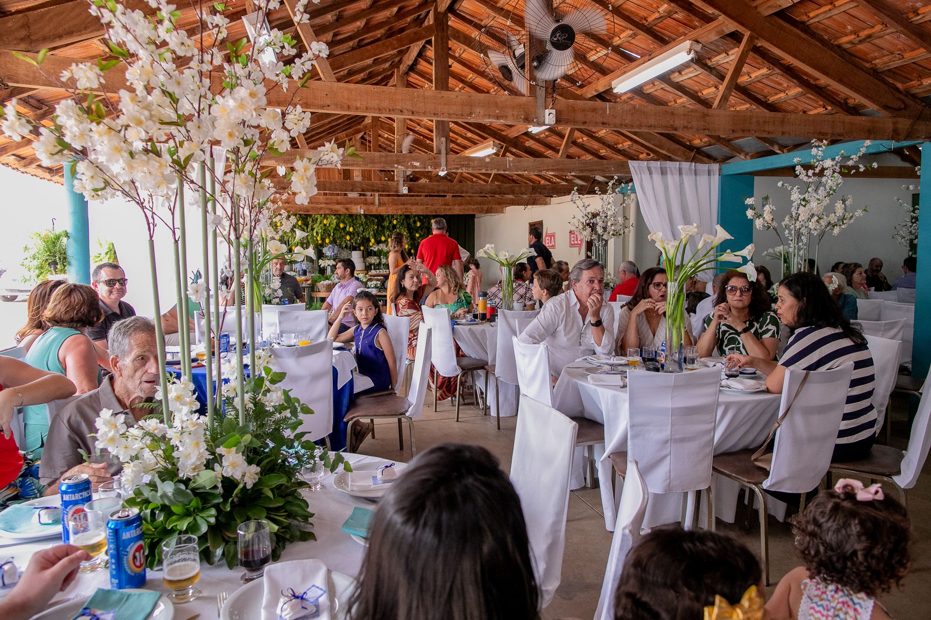 Bodas de Diamante Leonor e Orlando em Itamogi MG - 2 - 44