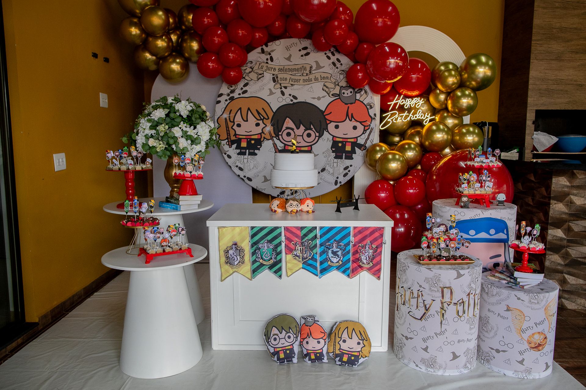 Aniversário de 1 ano da Gigi em Itamogi MG! - 2 - 0