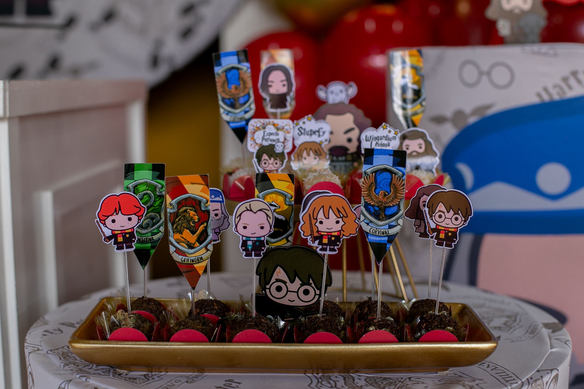 Aniversário de 1 ano da Gigi em Itamogi MG! - 2 - 3