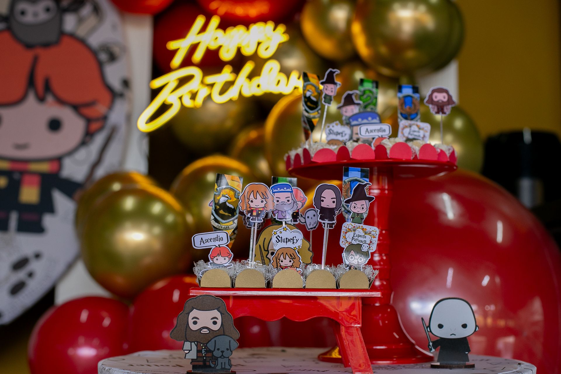 Aniversário de 1 ano da Gigi em Itamogi MG! - 2 - 2