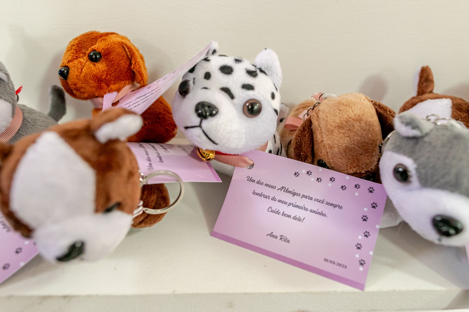 Aniversário de 1 ano da Ana Rita em Itamogi MG - 2 - 2