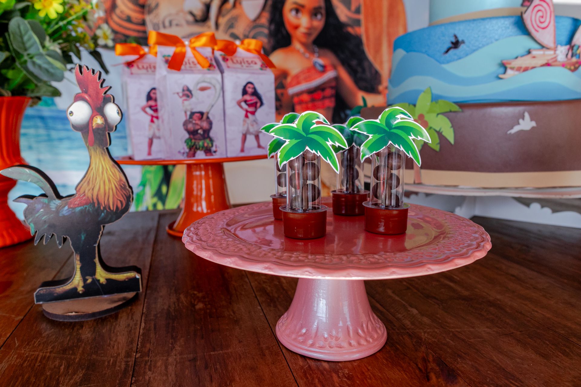 Aniversário de 6 anos da Luísa em Itamogi MG - 2 - 2