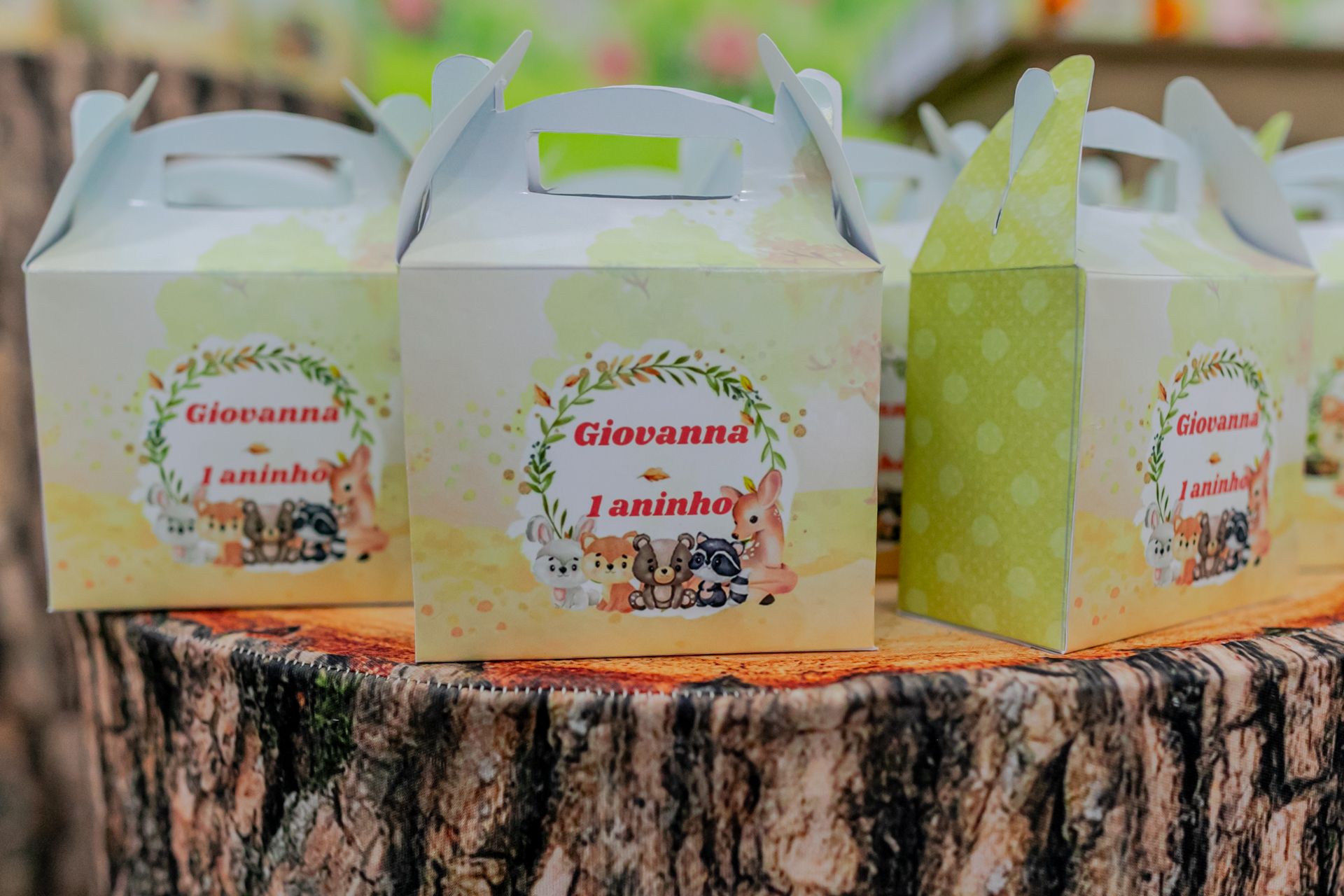 Aniversário de 1 ano da Giovanna em Itamogi MG - 2 - 1