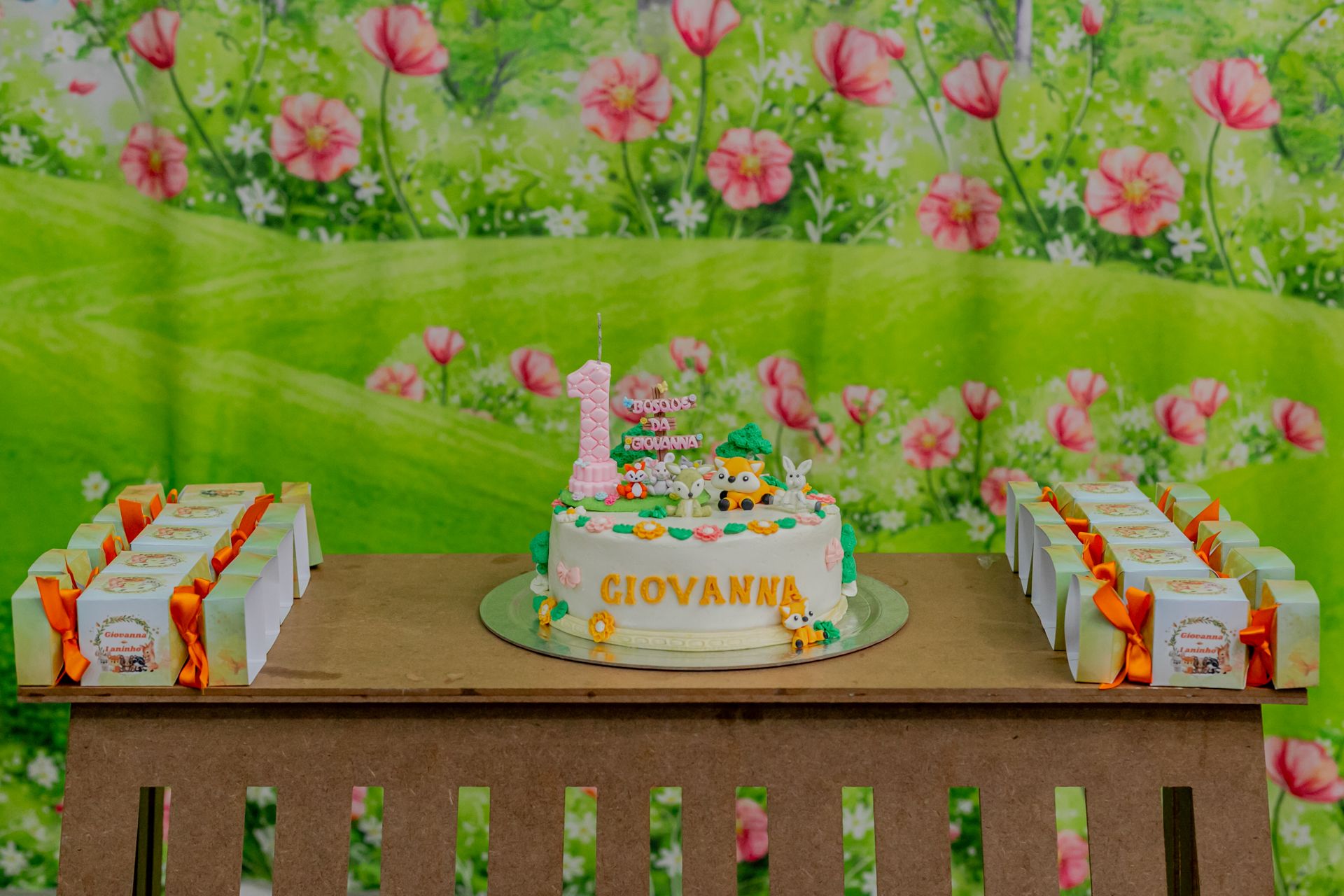 Aniversário de 1 ano da Giovanna em Itamogi MG - 2 - 0