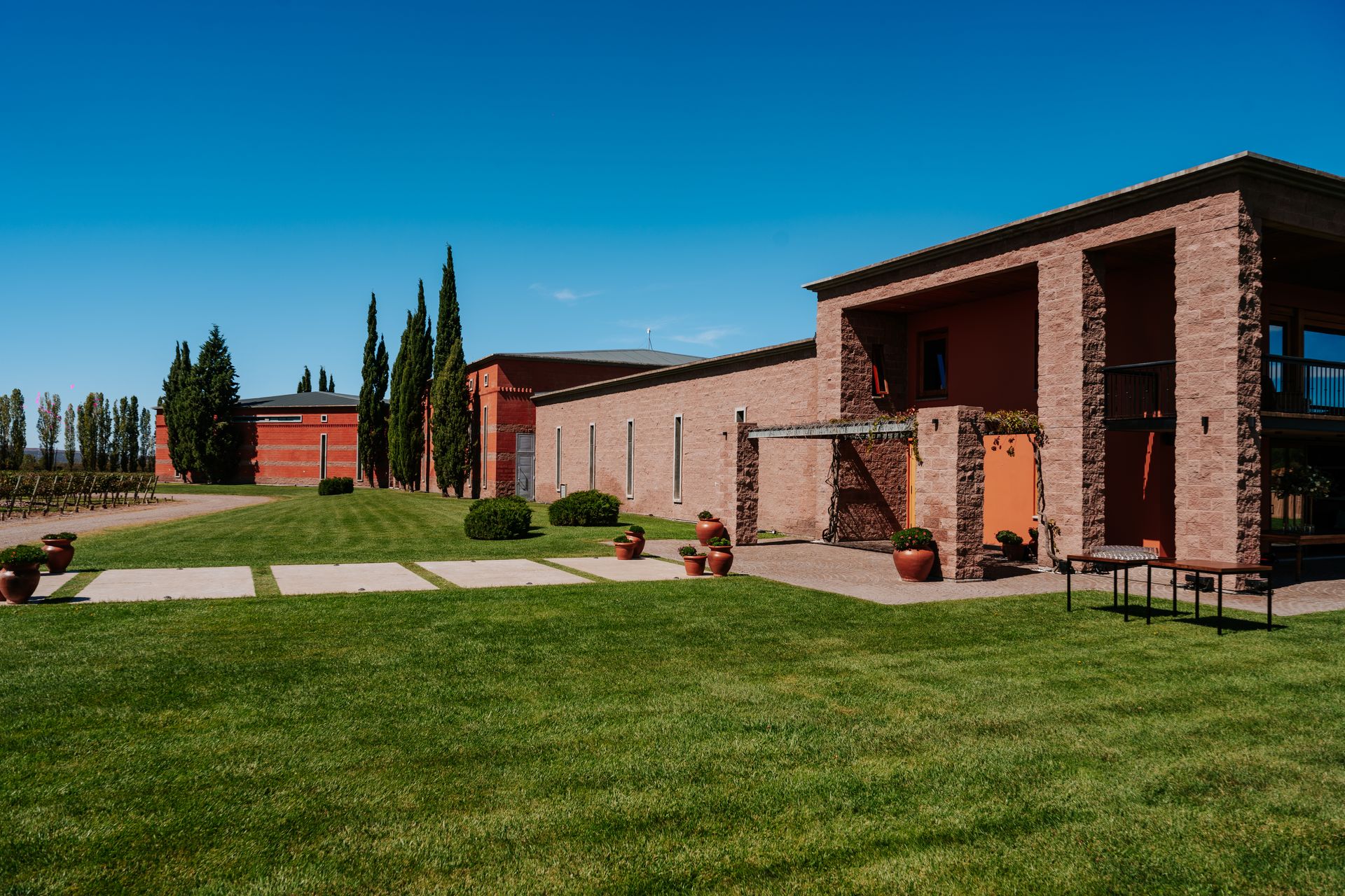 Casamento em Mendoza - Bodega Ruca Malen - 6