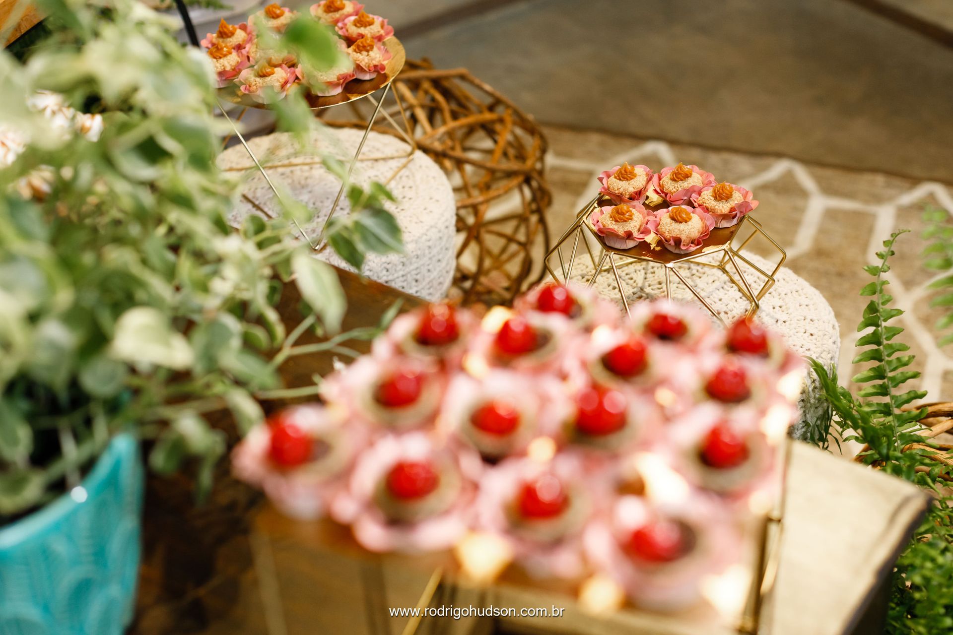 Casamento de Emiliene e Otávio no Sítio dos Eucalíptos em Monte Alto - SP - 1 - 2