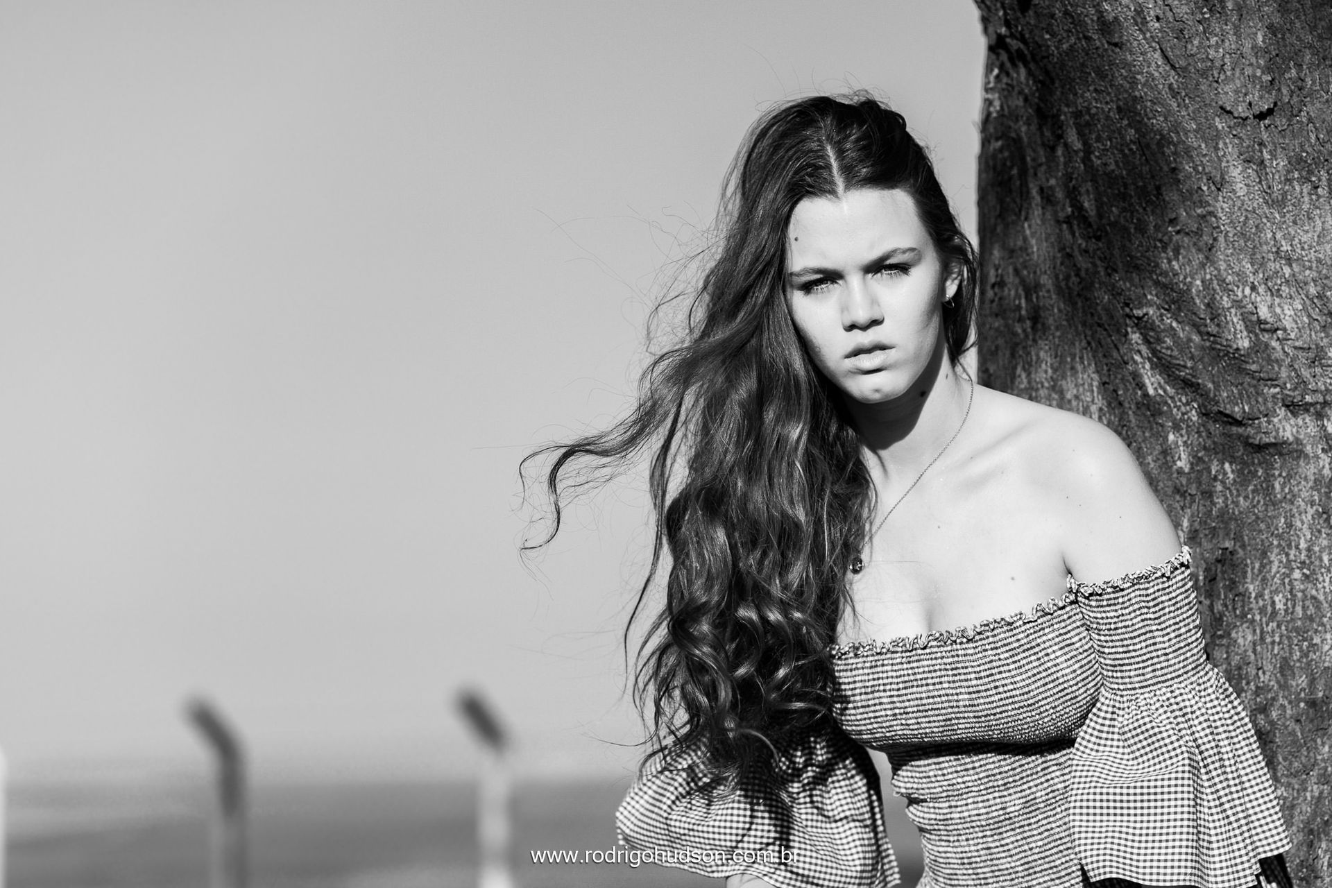 Ensaio de 15 anos de Maria Miotto Cuzzi, Jaboticabal - SP - 1 - 12