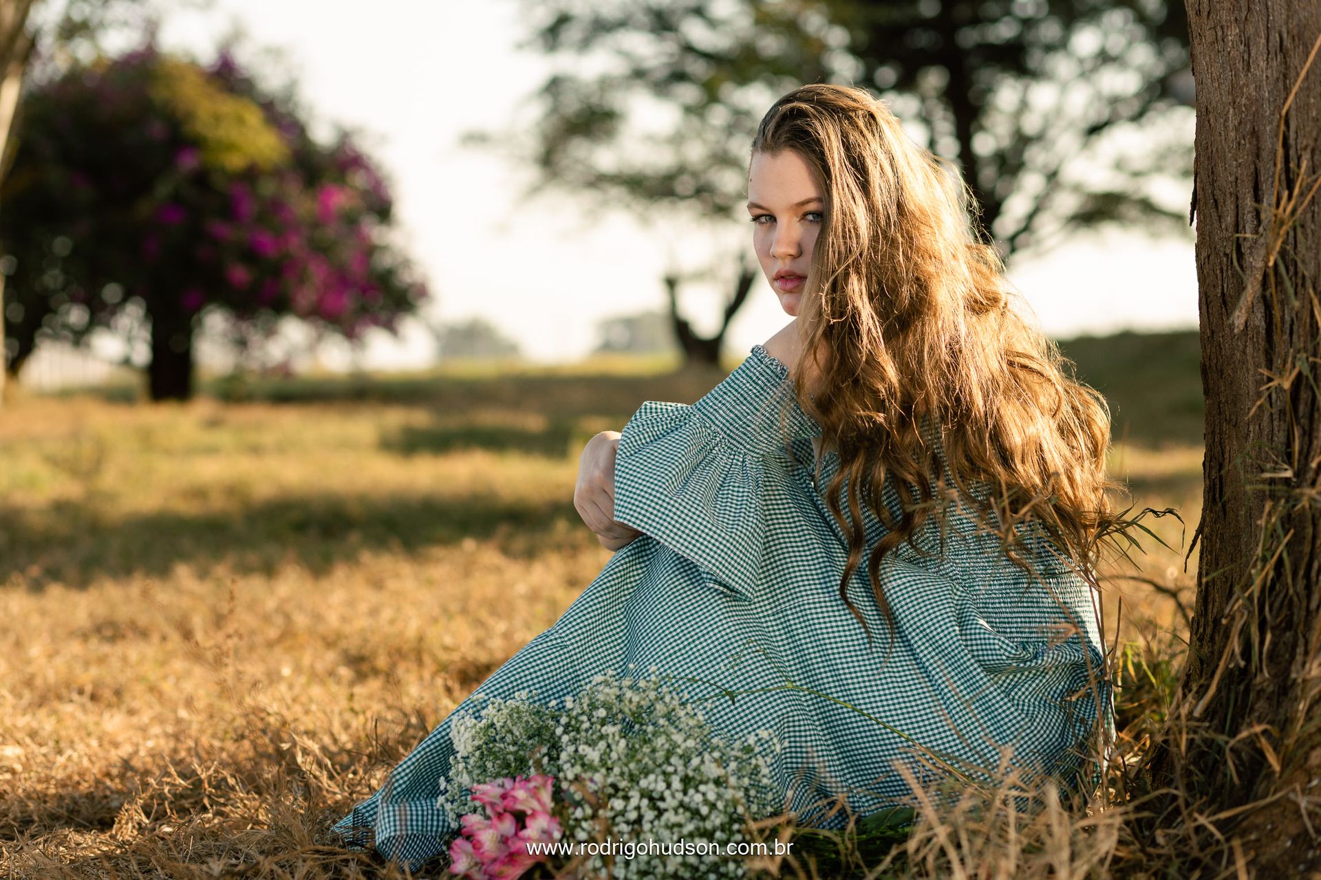 Ensaio de 15 anos de Maria Miotto Cuzzi, Jaboticabal - SP - 1 - 15