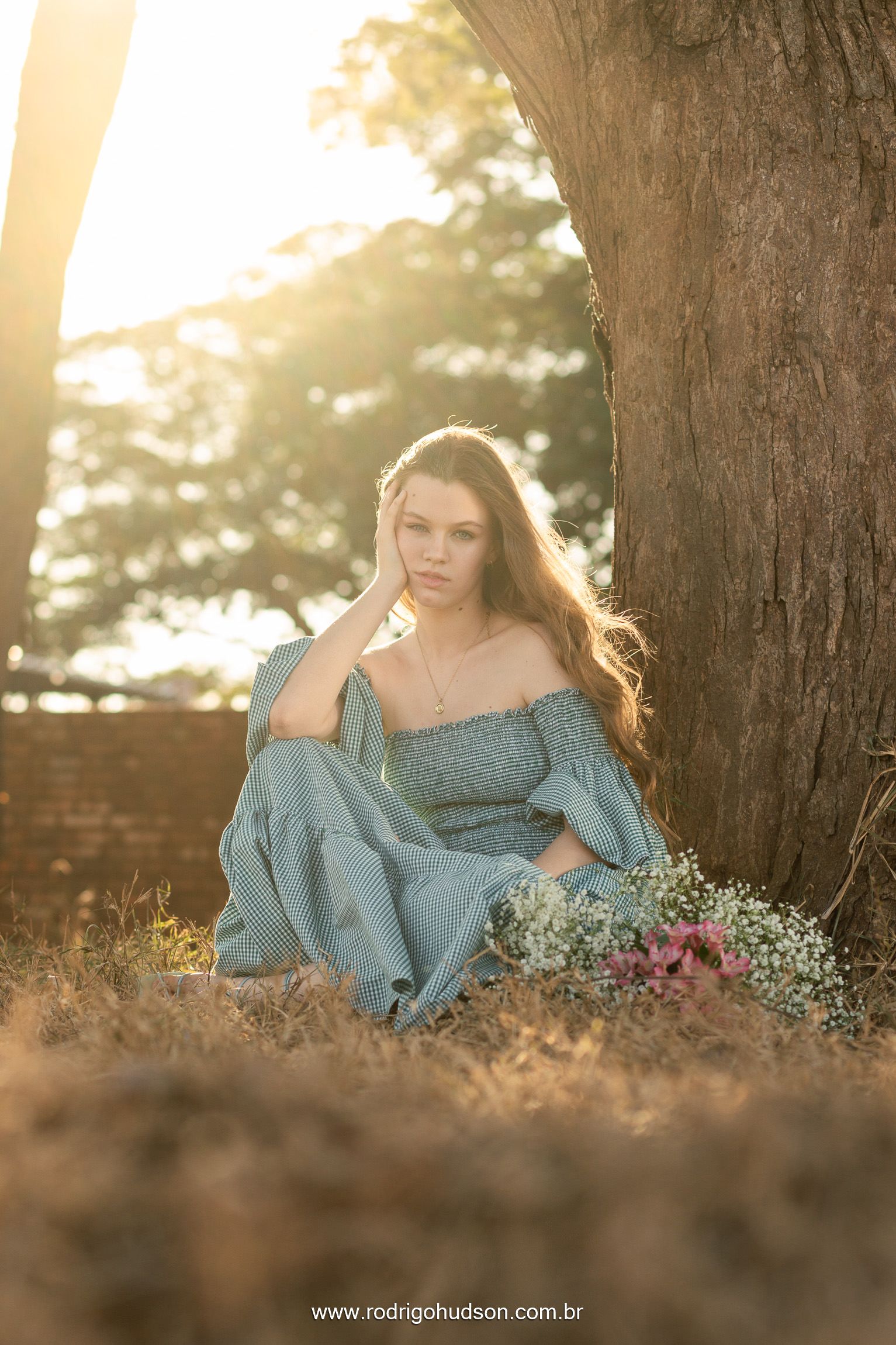 Ensaio de 15 anos de Maria Miotto Cuzzi, Jaboticabal - SP - 1 - 19