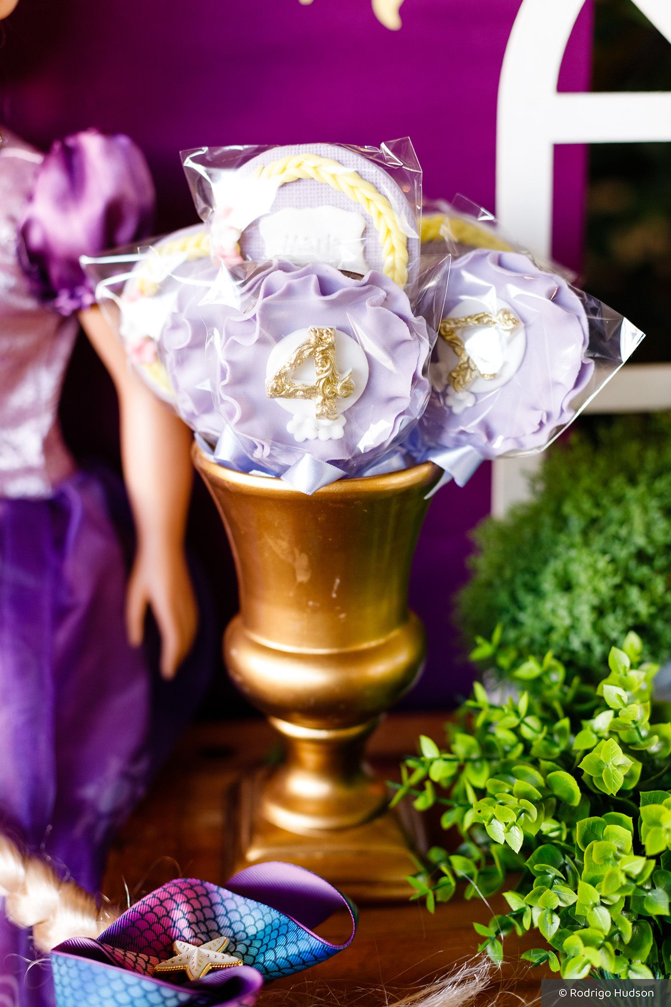 Maria Clara Bergamaschi 4 anos - 1 - 10