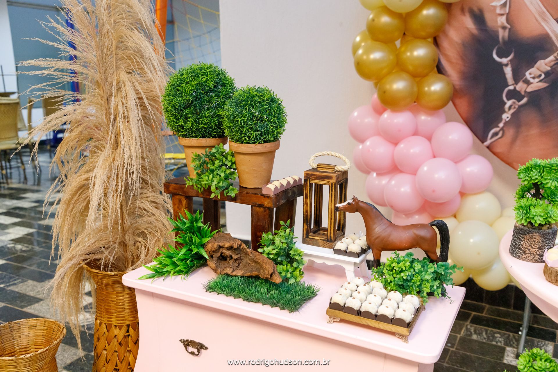 Catarina Prado 9 anos - 1 - 3