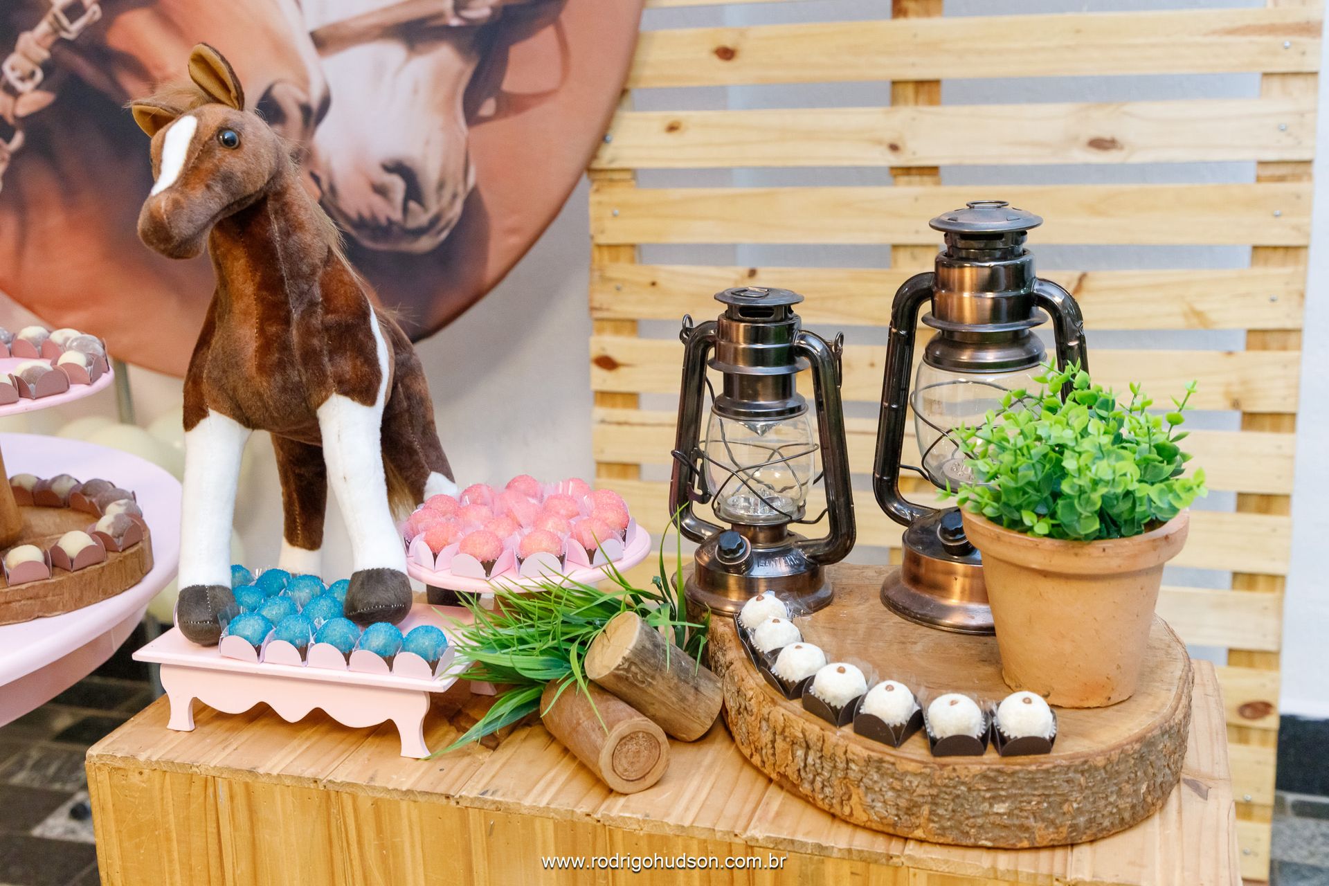 Catarina Prado 9 anos - 1 - 4