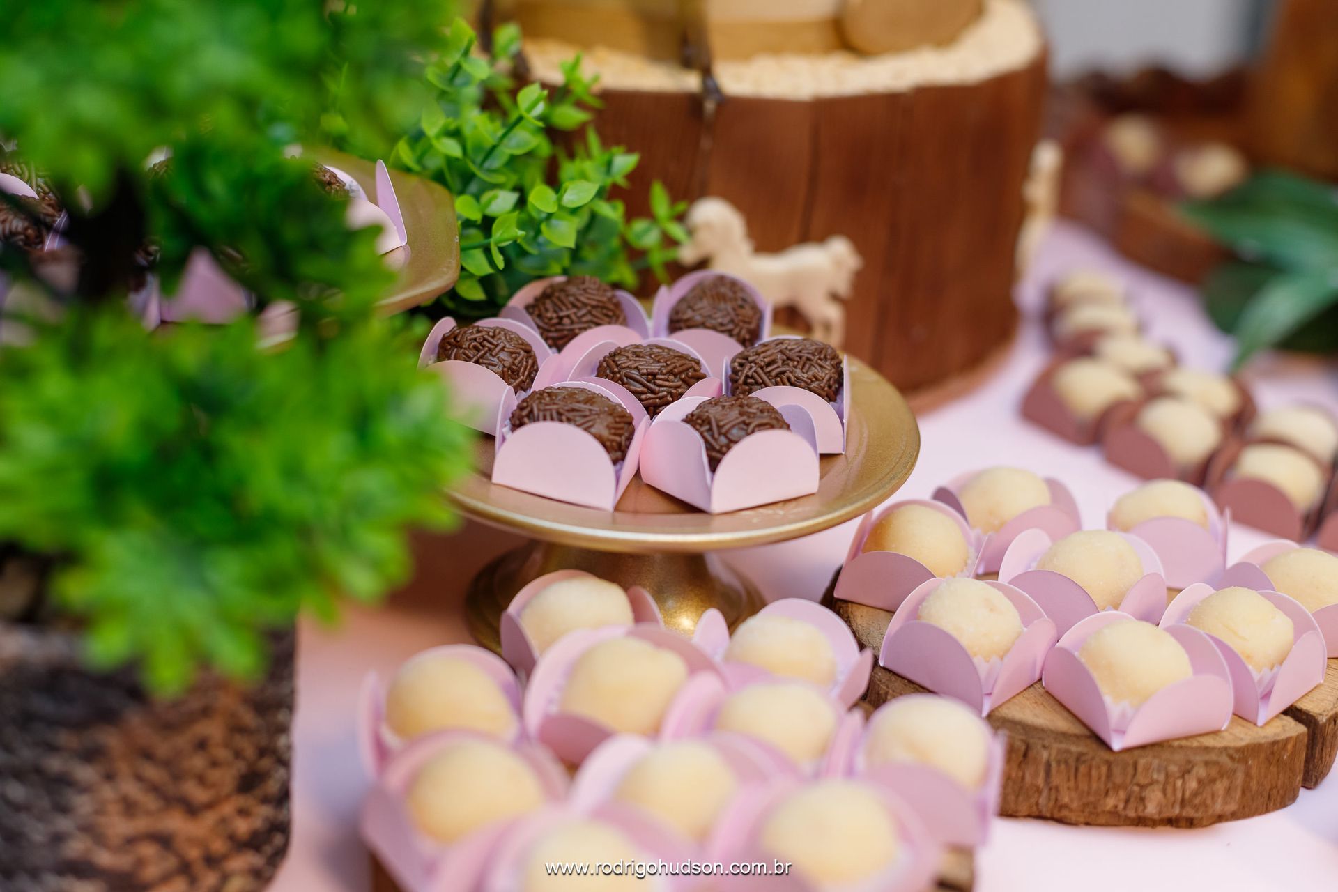 Catarina Prado 9 anos - 1 - 5