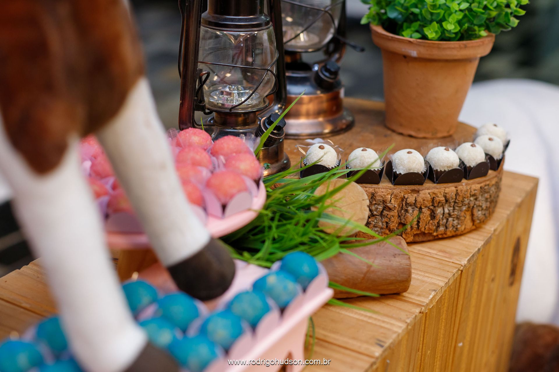 Catarina Prado 9 anos - 1 - 7