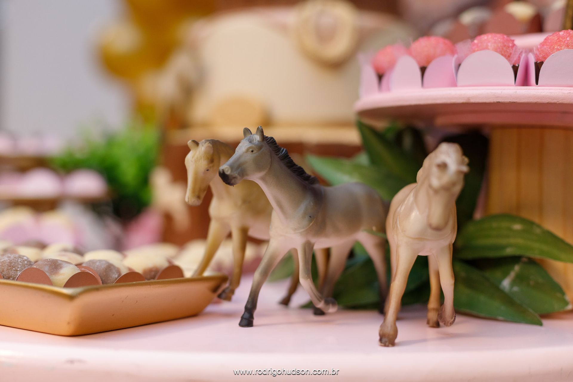 Catarina Prado 9 anos - 1 - 8