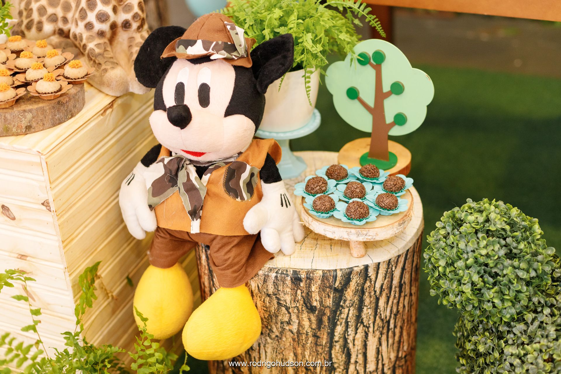 Giovana Carregari 2 anos - 1 - 11