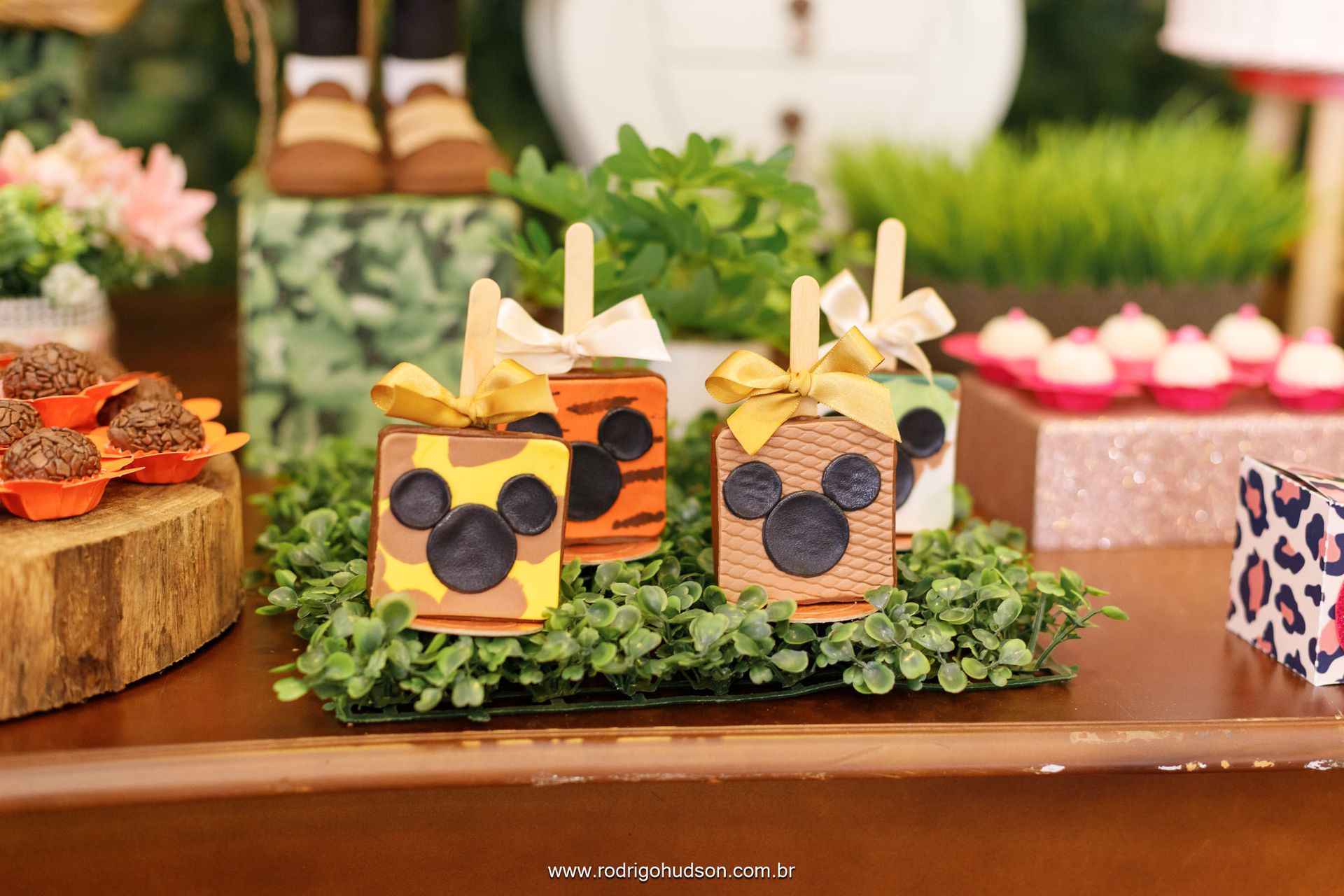 Giovana Carregari 2 anos - 1 - 12