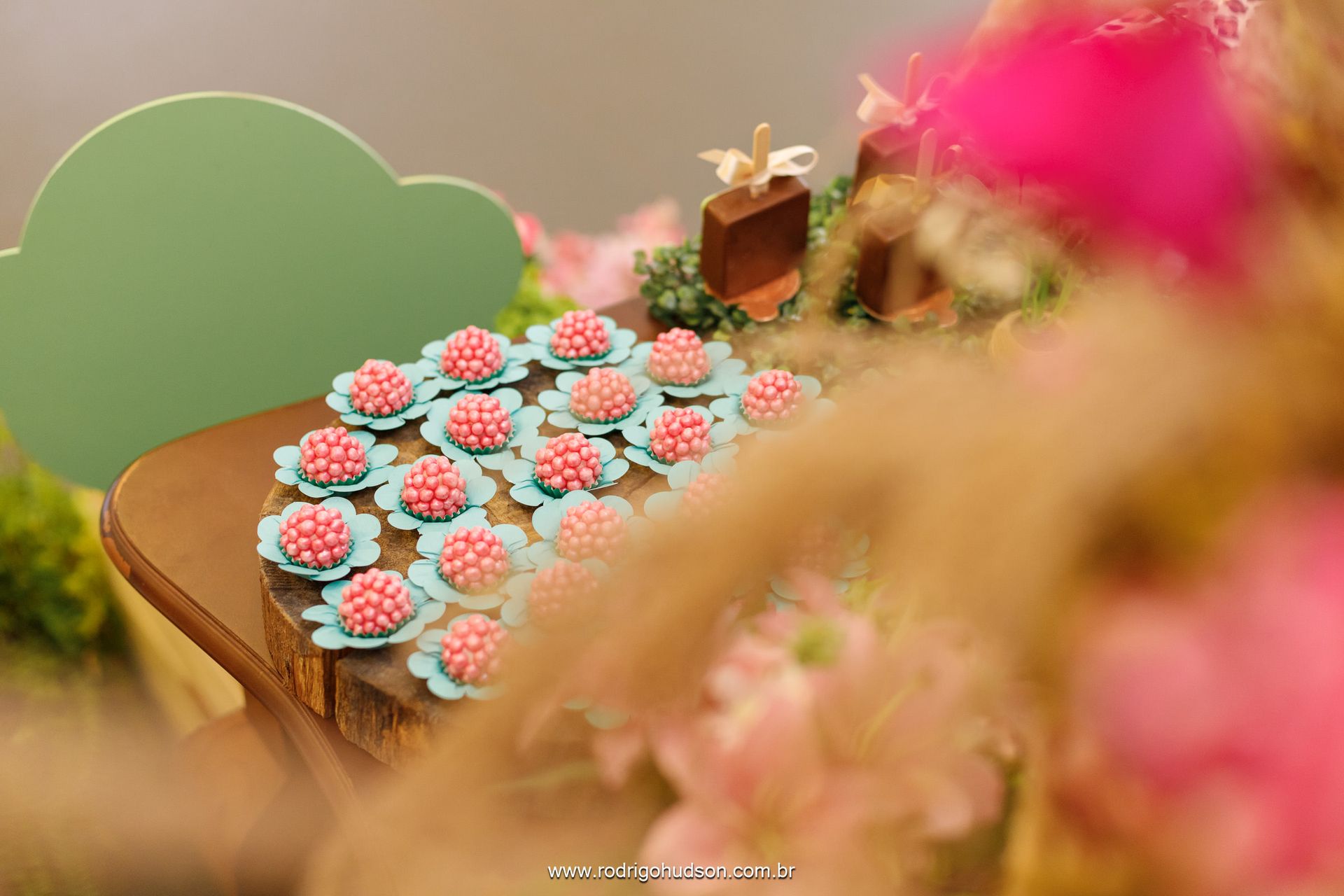 Giovana Carregari 2 anos - 1 - 14