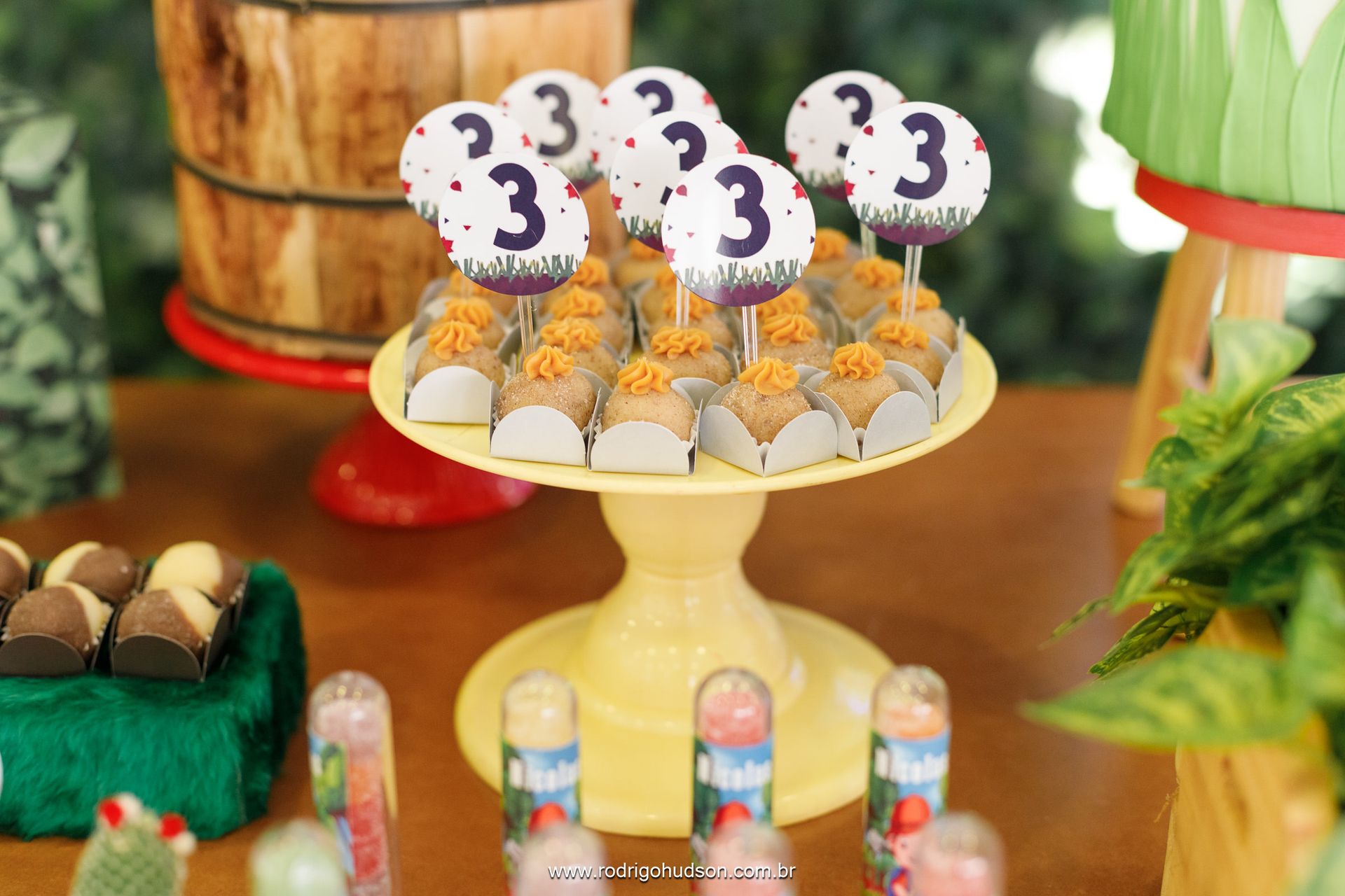 Nicolas Hashimoto 3 anos - 1 - 11