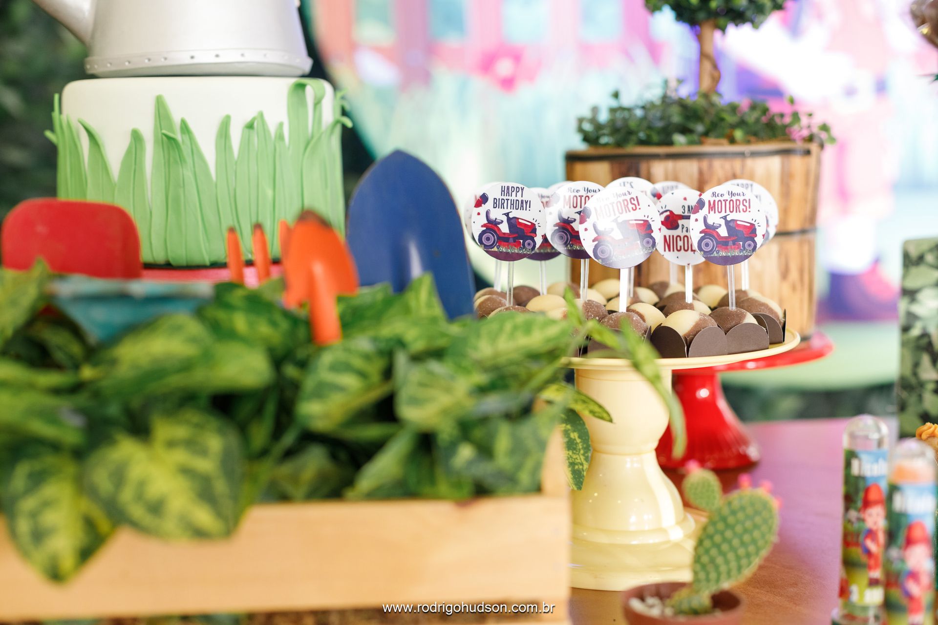 Nicolas Hashimoto 3 anos - 1 - 12