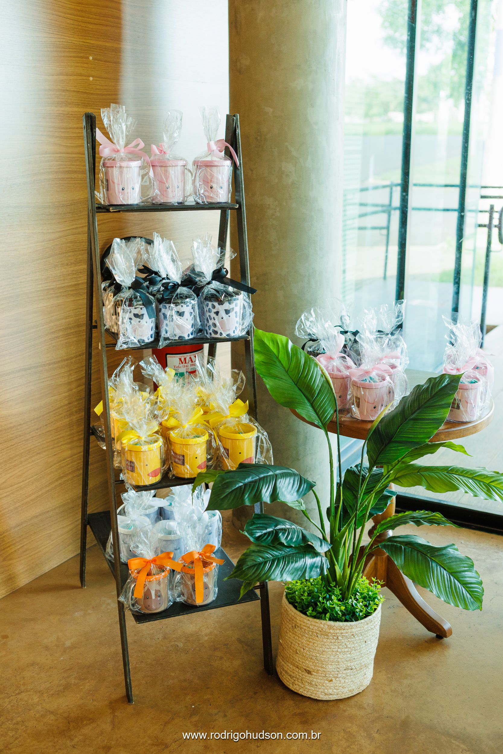 Giovanni Mazzini 1 ano - 1 - 5