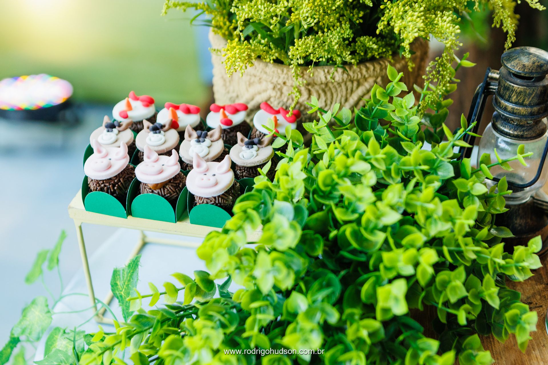 Giovanni Mazzini 1 ano - 1 - 11