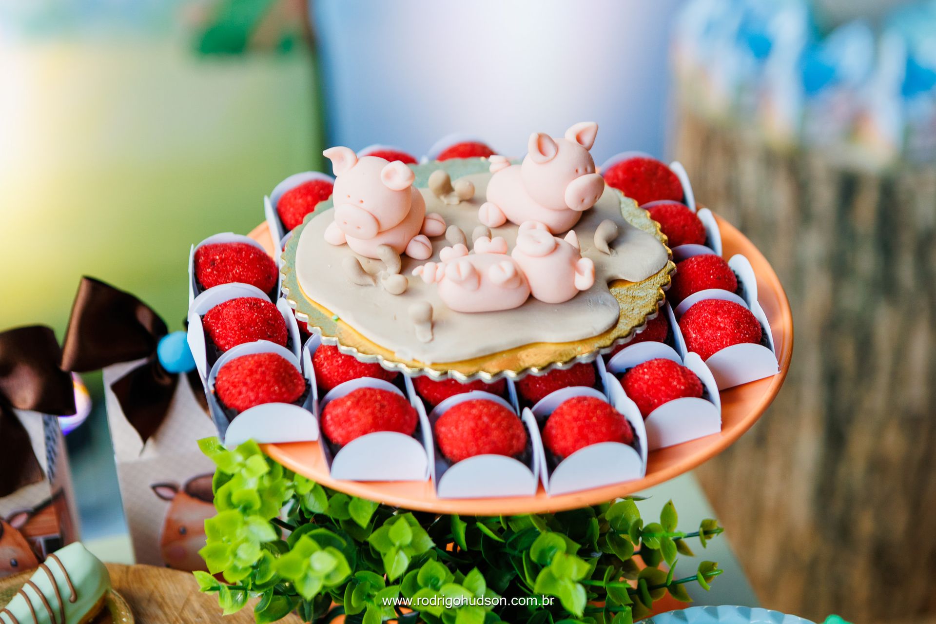 Giovanni Mazzini 1 ano - 1 - 14