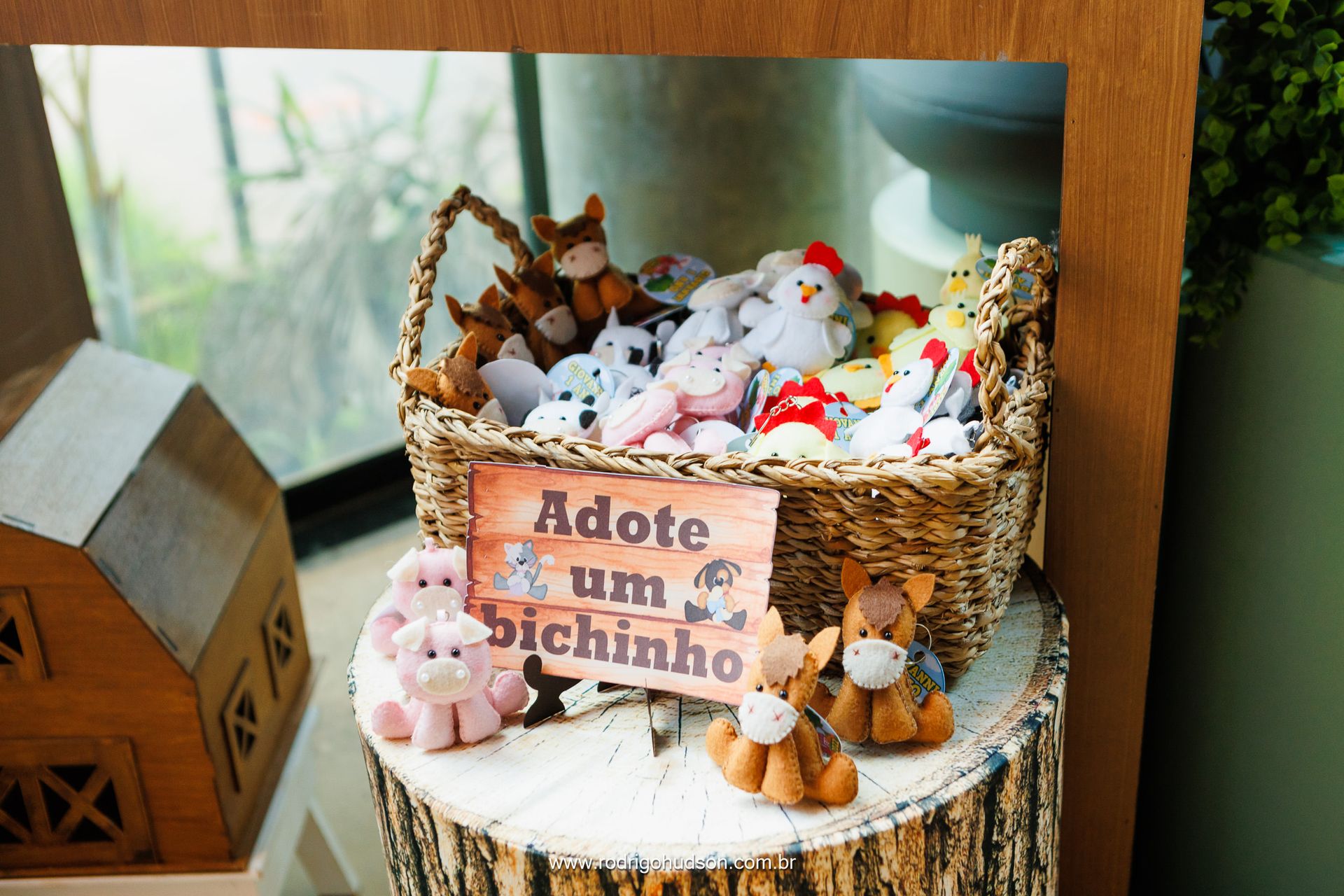 Giovanni Mazzini 1 ano - 1 - 23