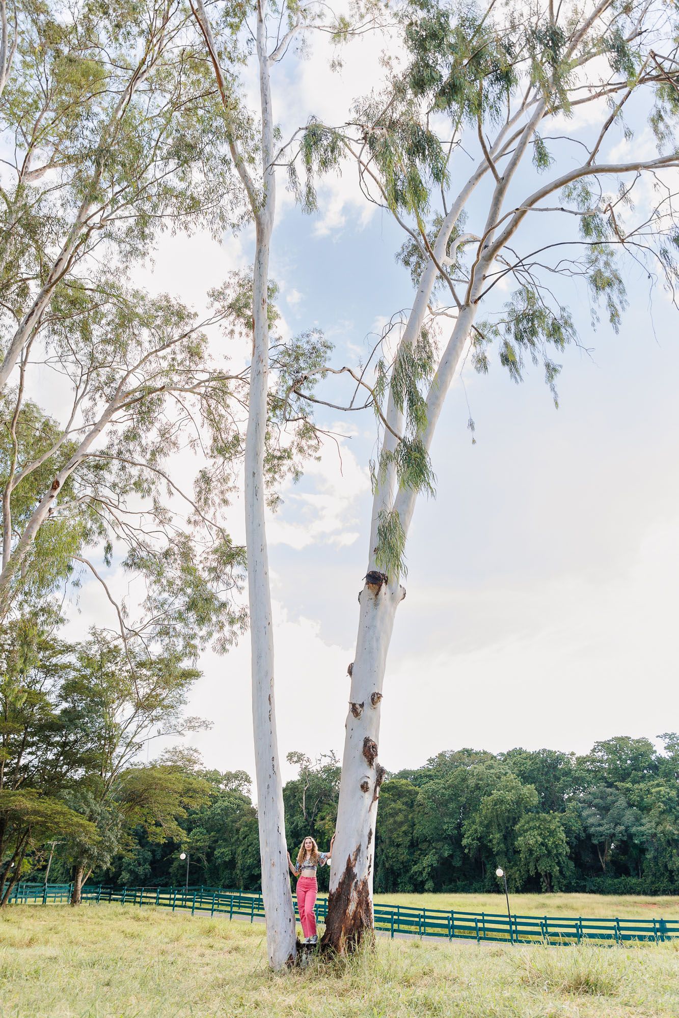 Ensaio 15 anos de Maria Paula - 1 - 19