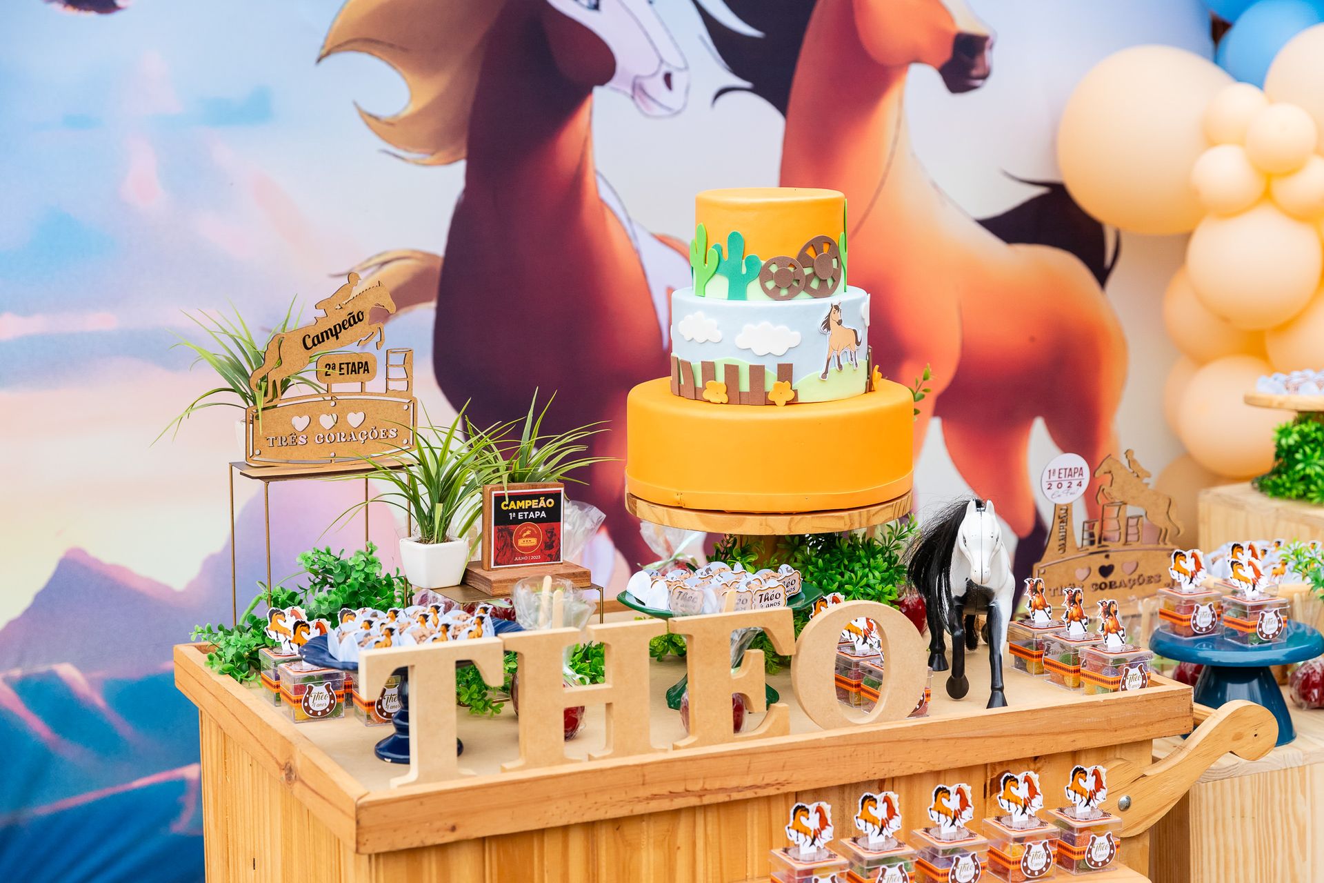 Théo Donadon 4 anos - 1 - 2