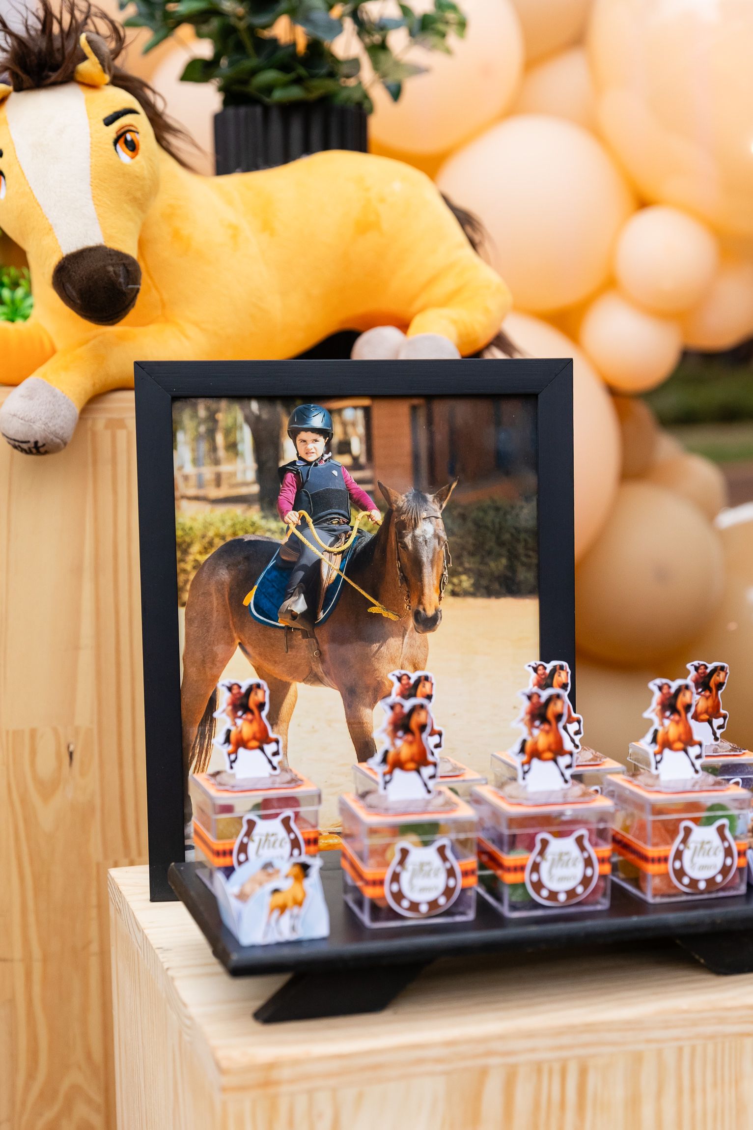 Théo Donadon 4 anos - 1 - 3