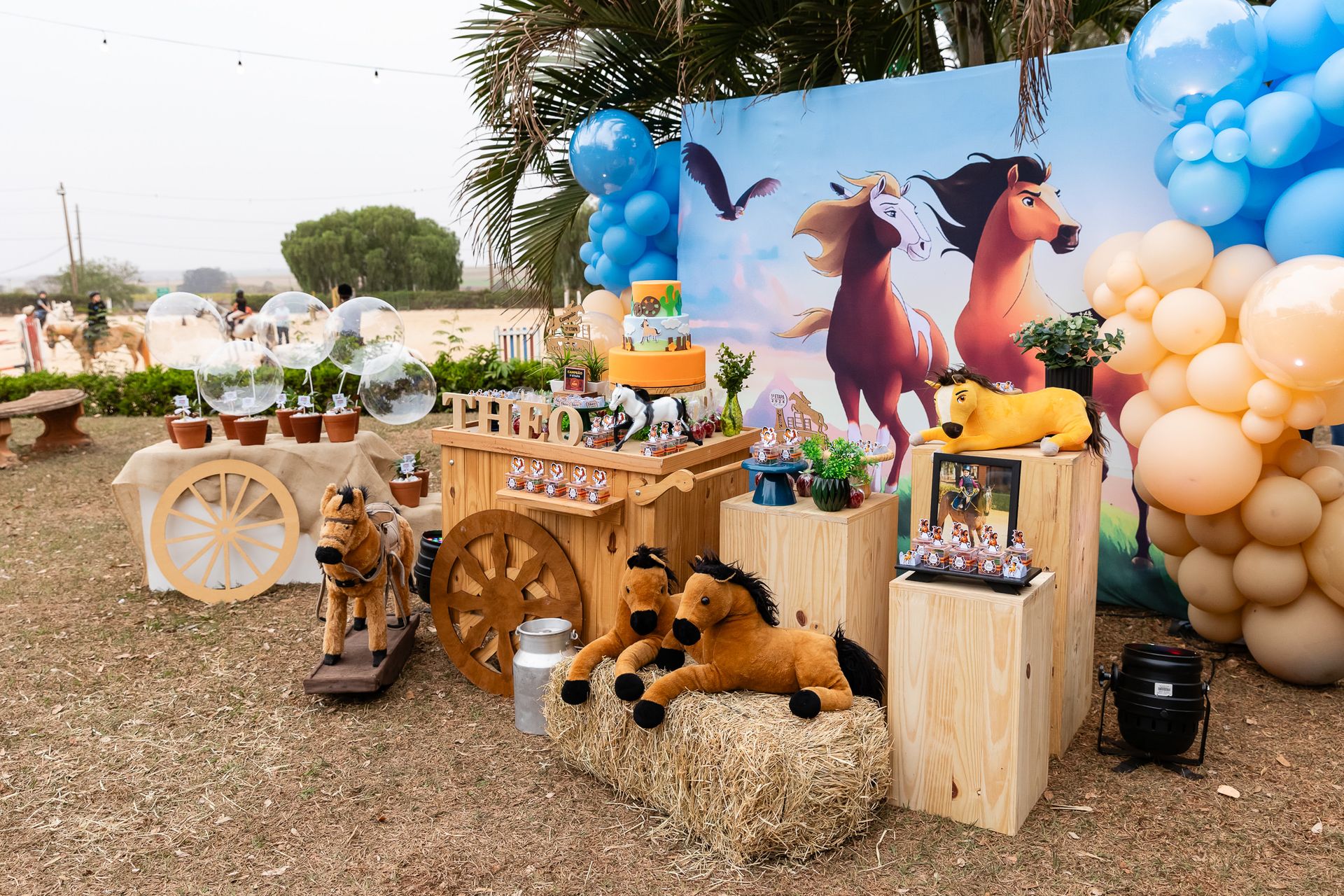 Théo Donadon 4 anos - 1 - 5