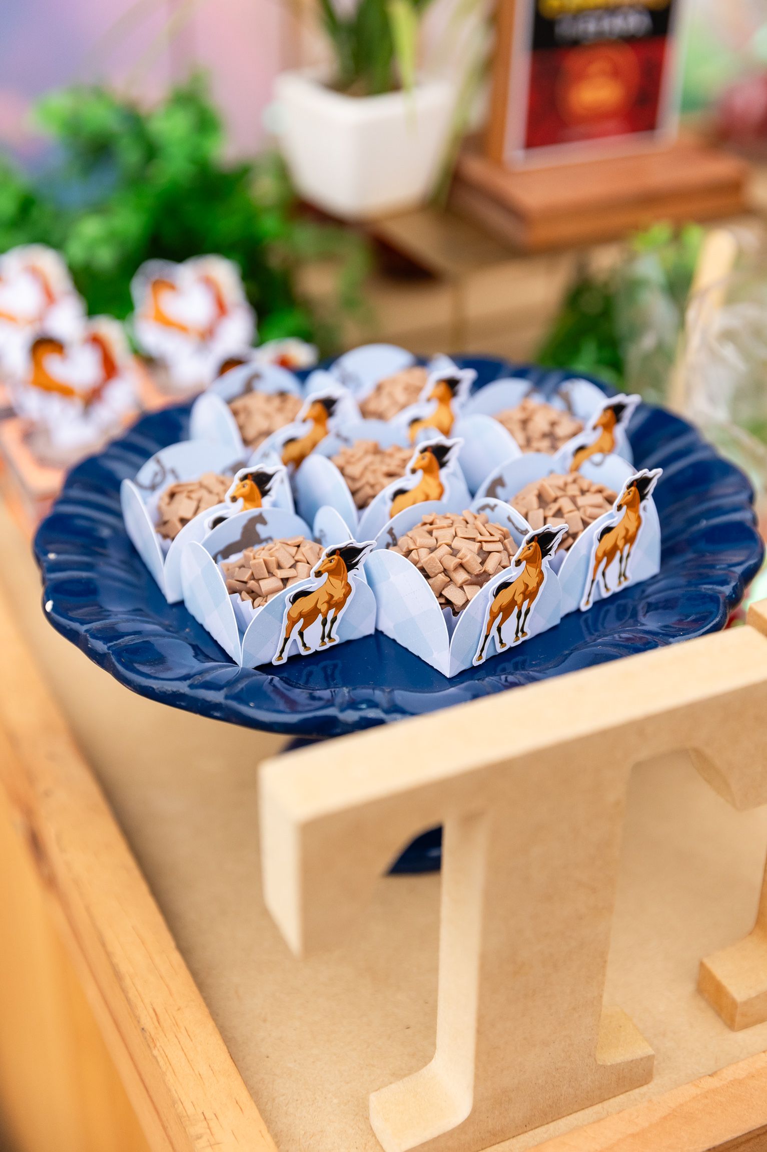 Théo Donadon 4 anos - 1 - 8