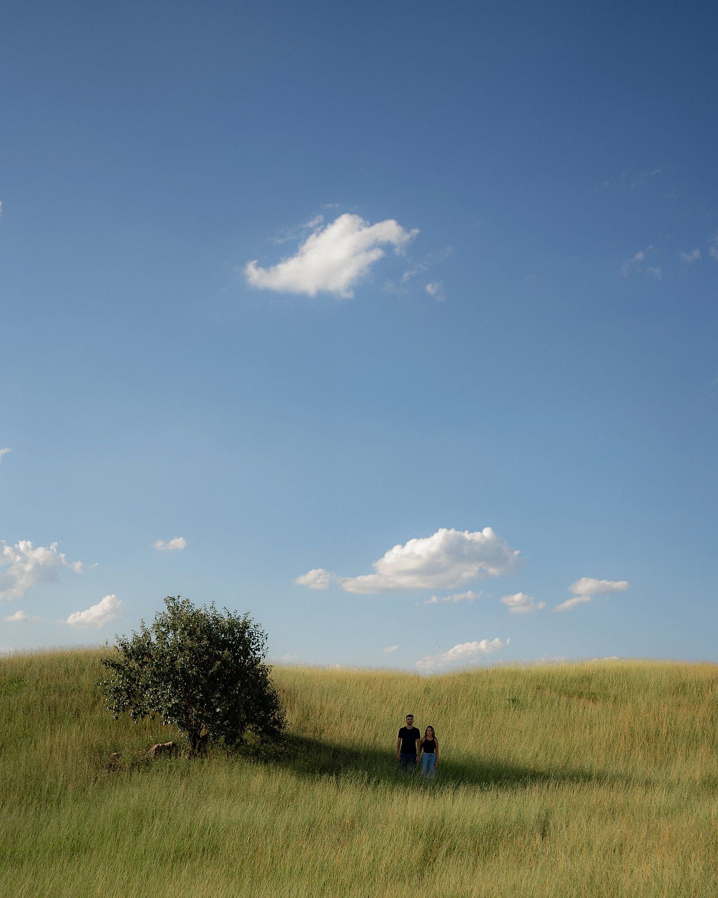 Sente a vibe de um casal que se entrega para as fotos de pré wedding 🔥 - 3 - 0