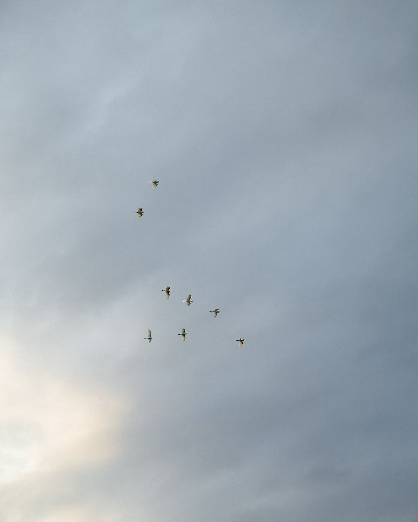 Casamento Isa e Gu - 3 - 9