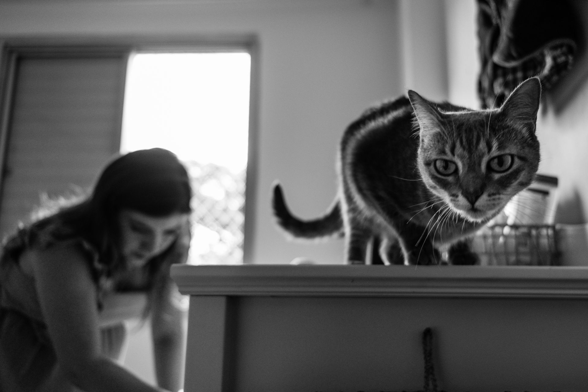 Gestante - ensaio em casa com a Elaine e o Douglas - 5 - 1