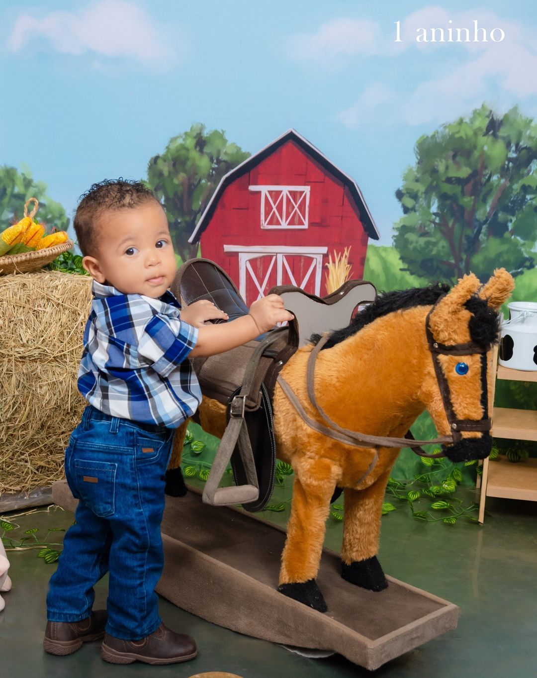 Acompanhamento Infantil - 1 - 14