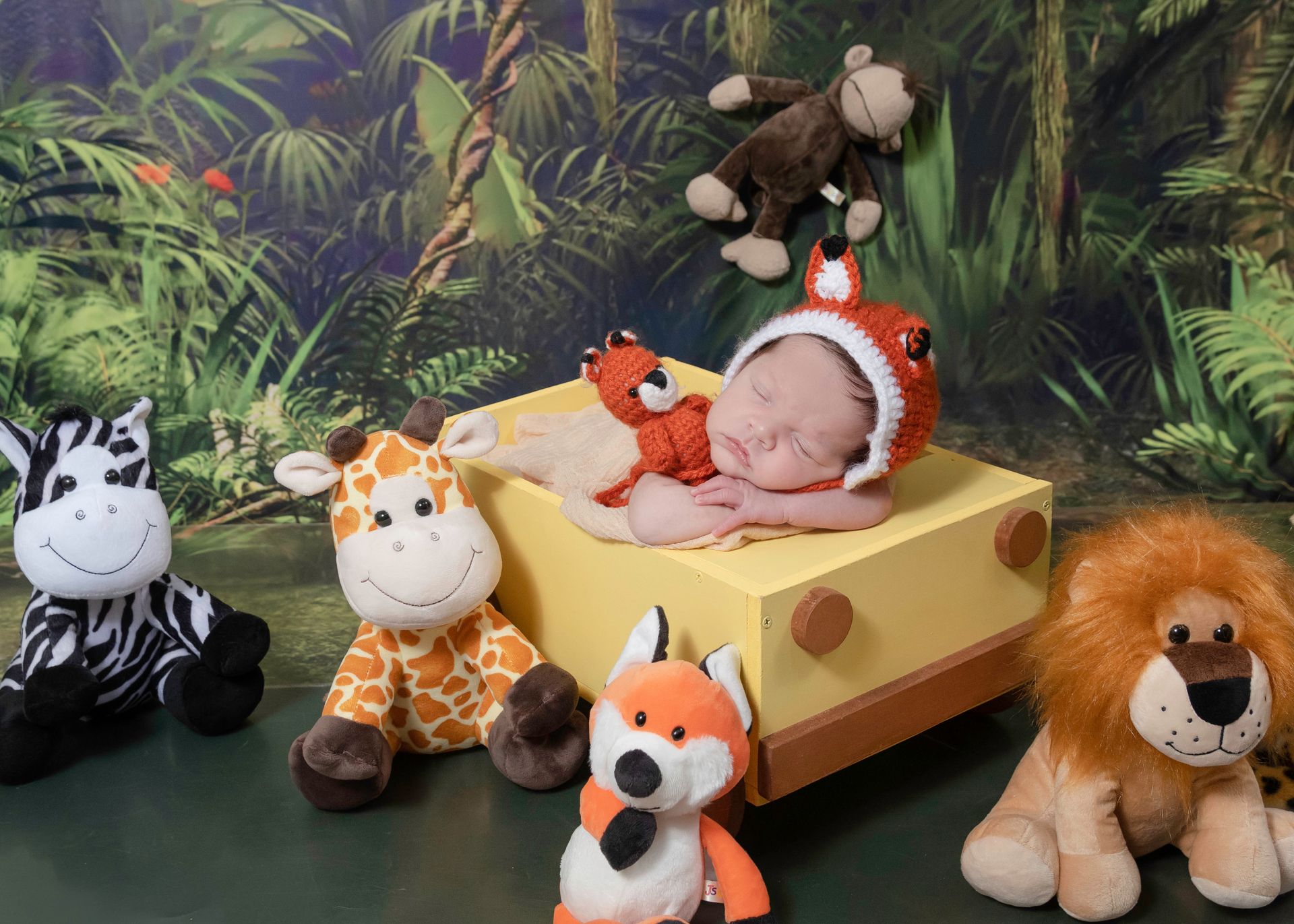 Ensaio Newborn - 1 - 6