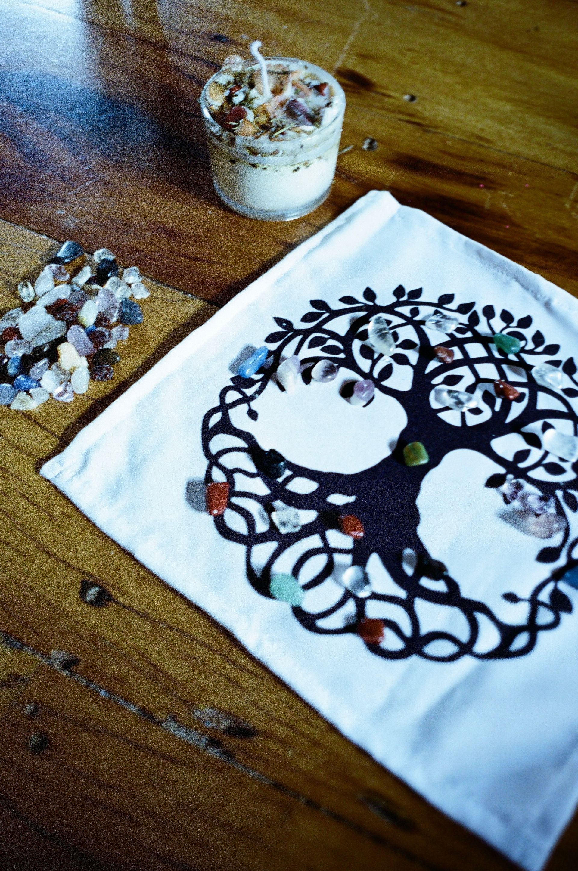 São Francisco Xavier 2021 - 1 - 2