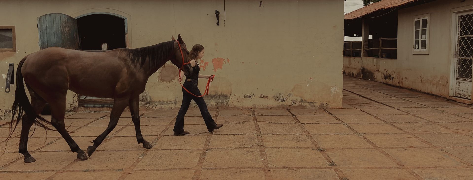 Ana Clara e Moon - 14