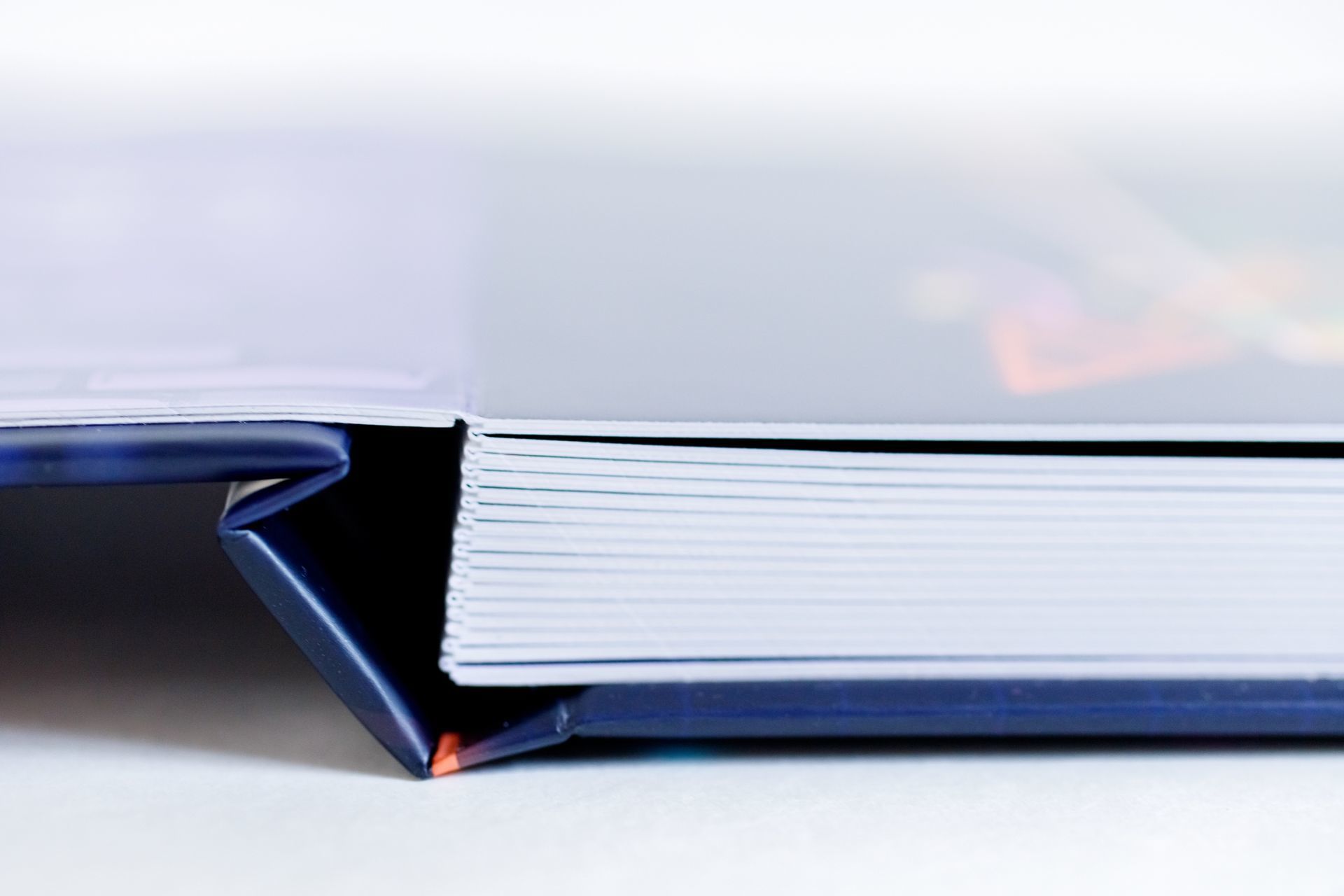 Álbum Fotográfico de Festa Infantil - 2 - 7