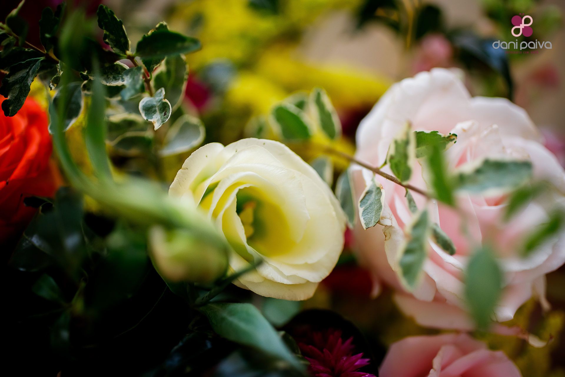 Aniversário de 80 Anos - 2 - 8