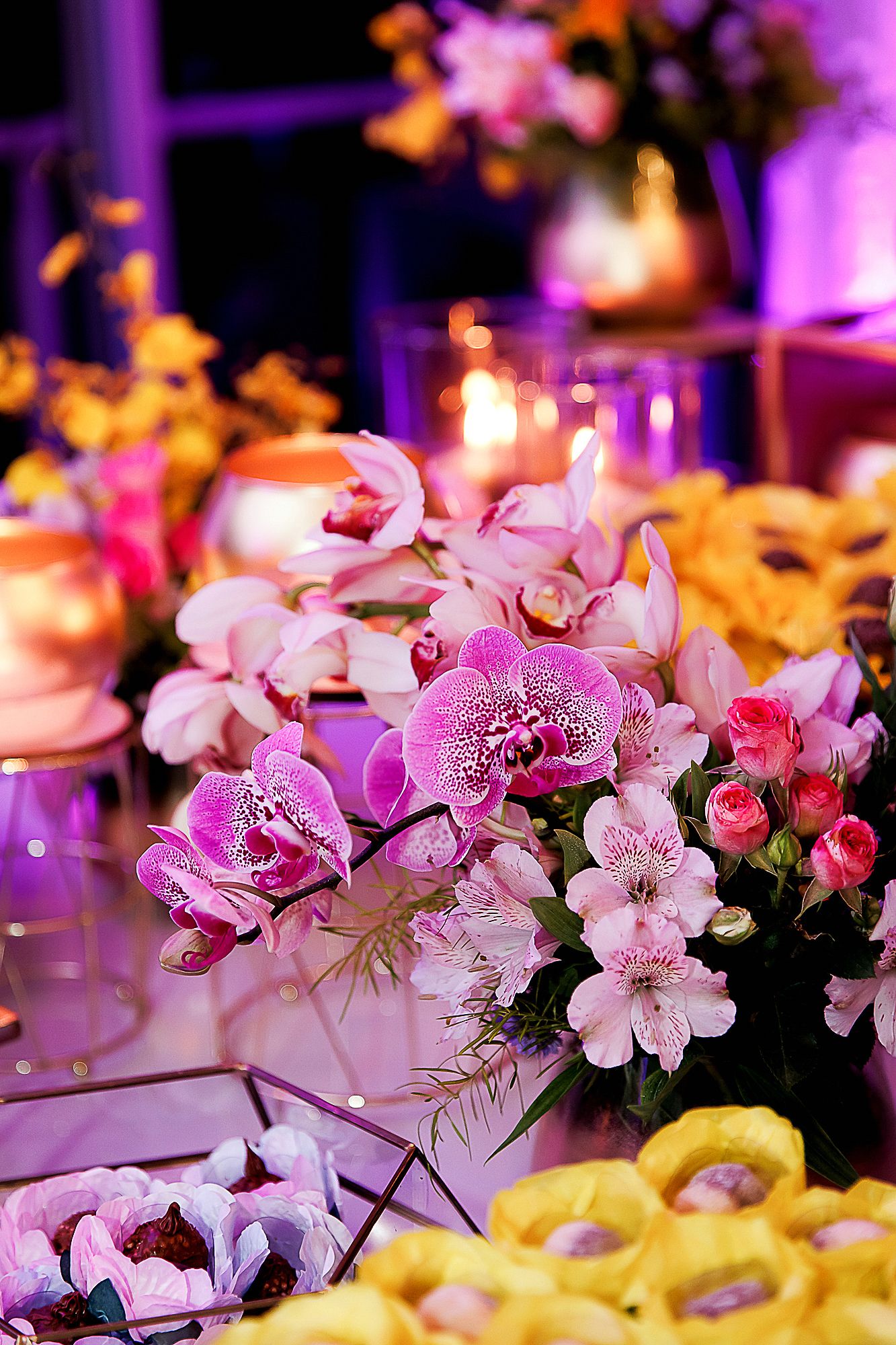 Uma Noite Especial: Festa de 15 Anos da Maria Laura e da Mamãe Milena Fraga. - 2 - 0