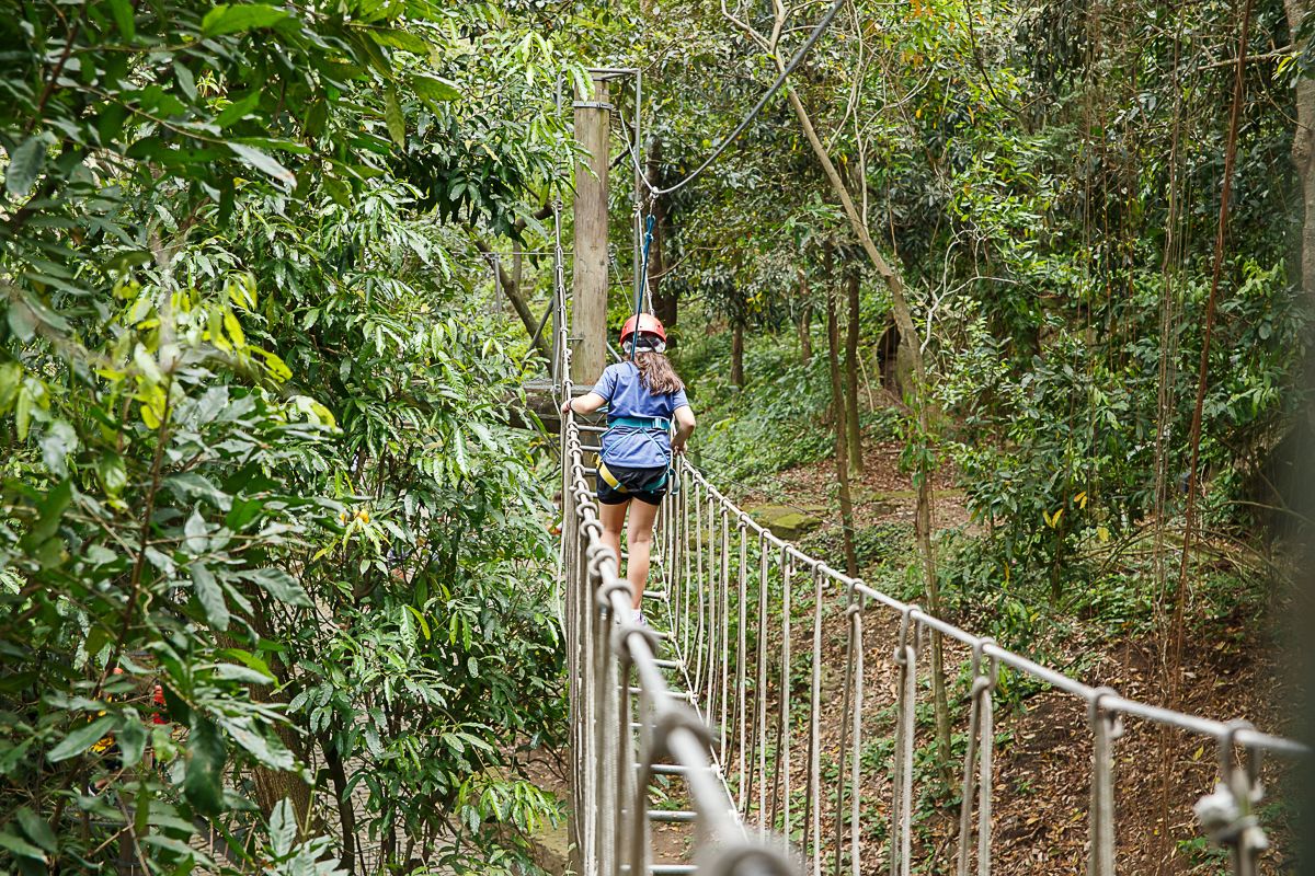 Aventura no Parque da Catacumba: A Festa Inesquecível de Joana - 2 - 37